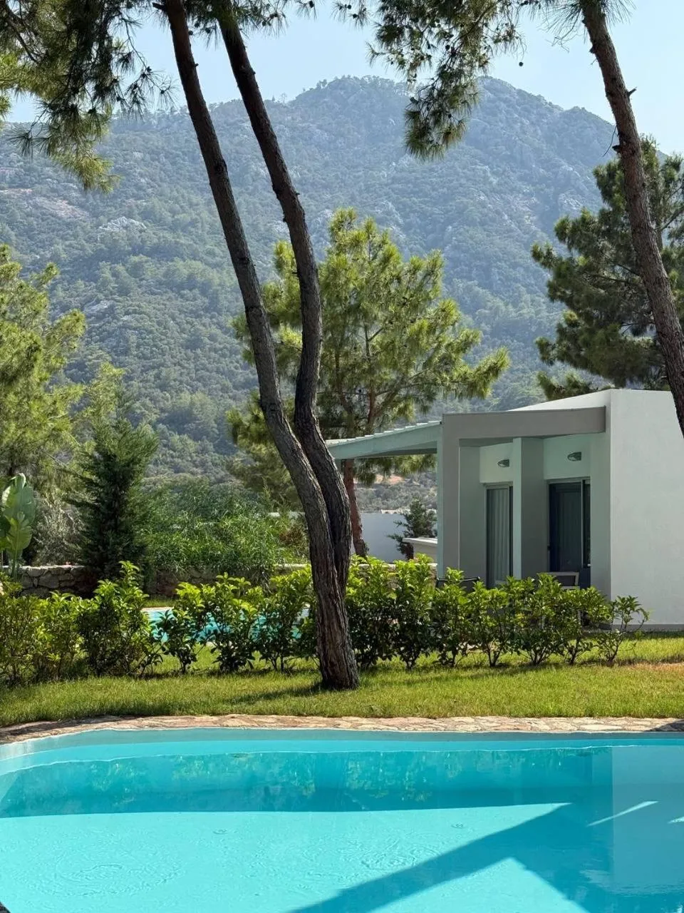 Garden in Z-Villas Beach Hotel