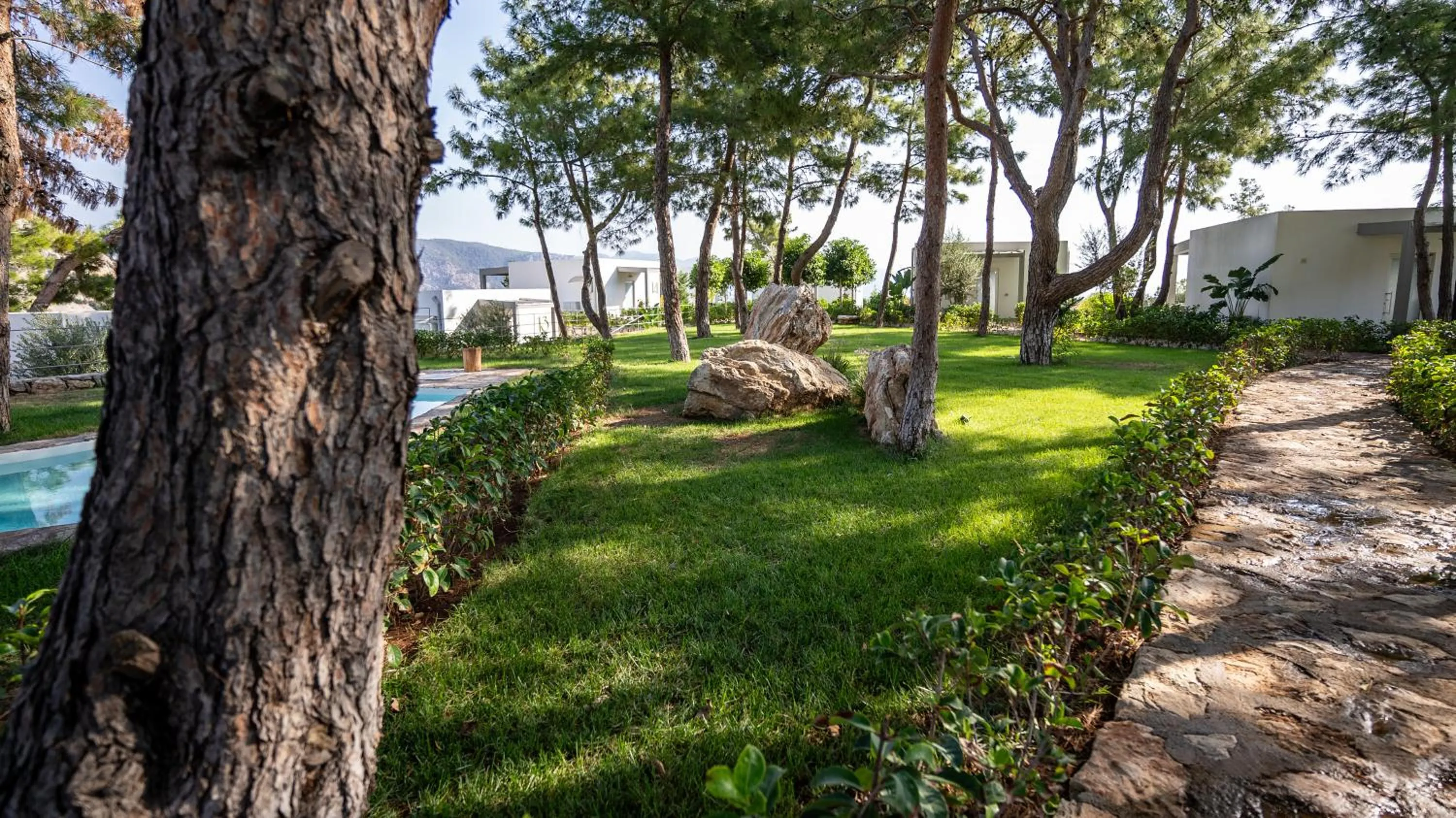 Garden in Z-Villas Beach Hotel