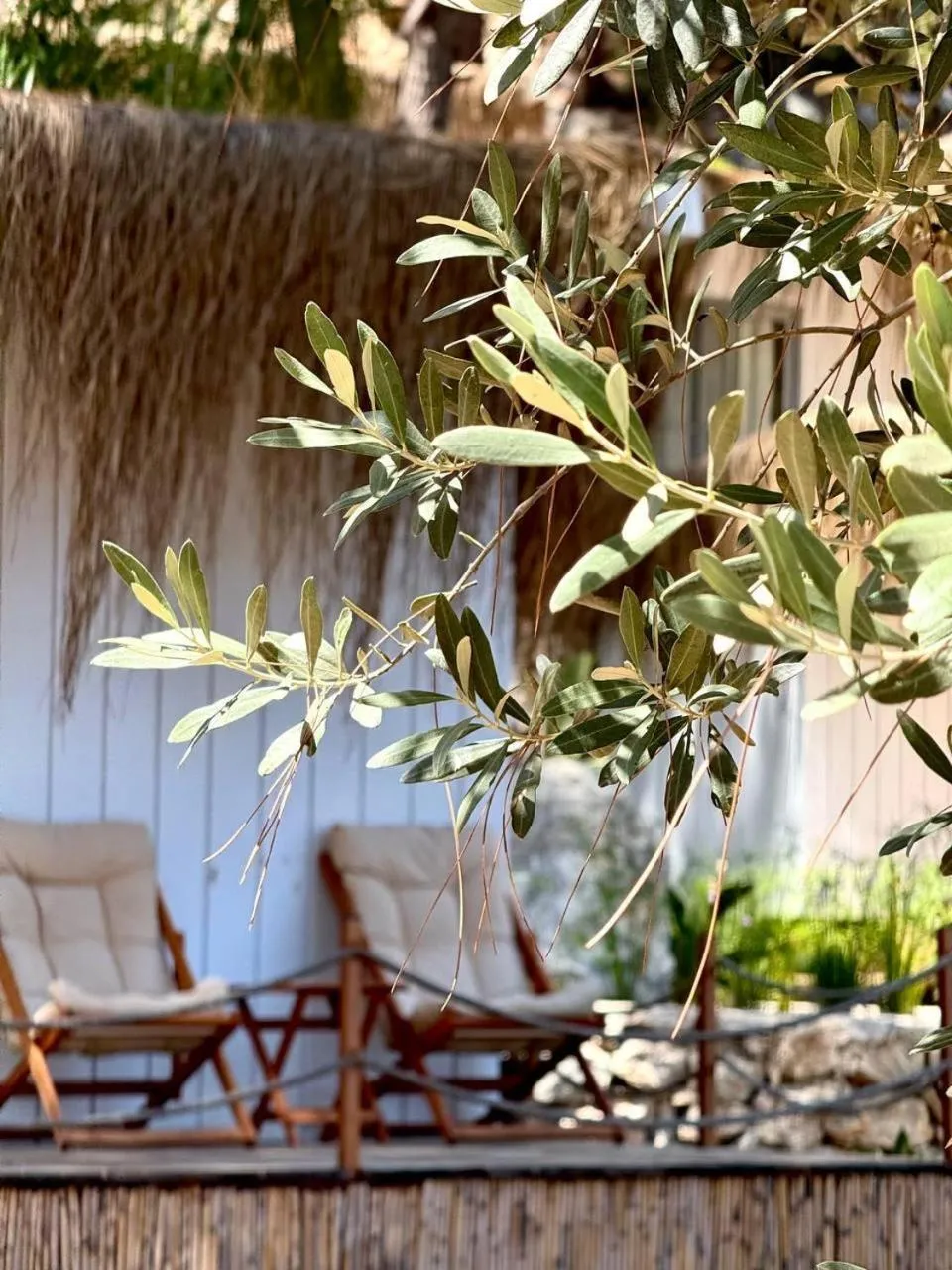Balcony/Terrace in Z-Villas Beach Hotel