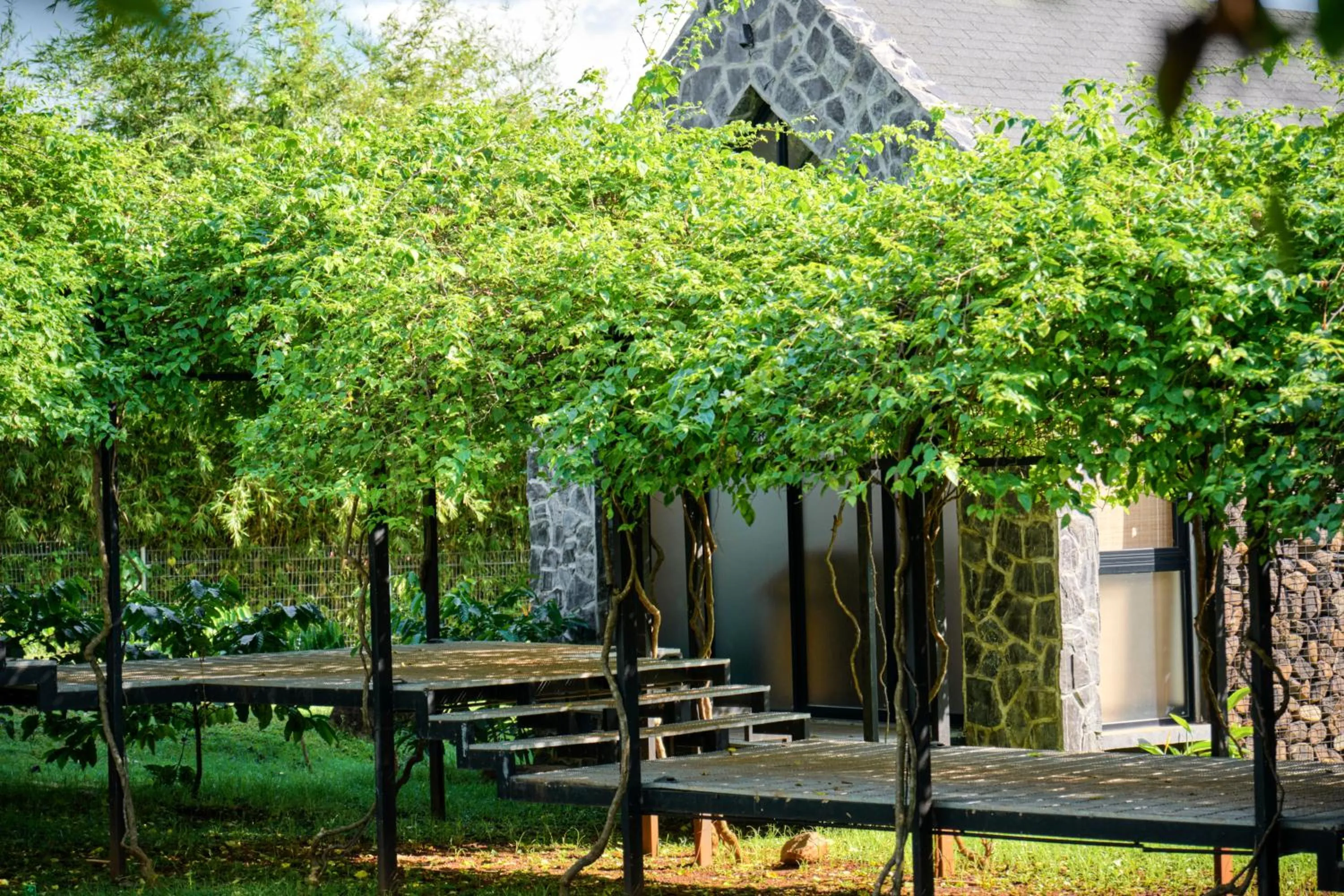 Area and facilities in The Coffee City - Healing & Retreats