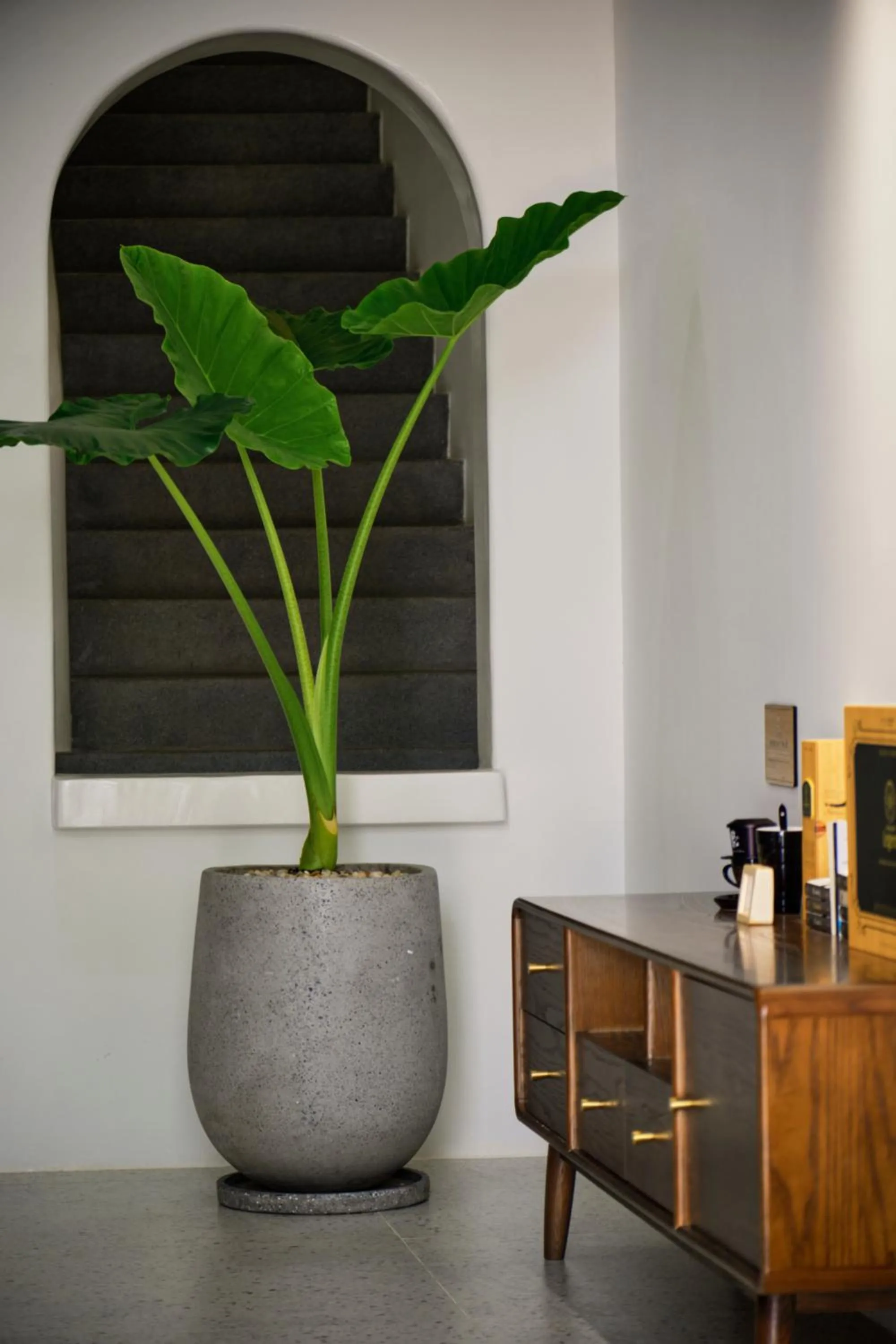 Area and facilities in The Coffee City - Healing & Retreats