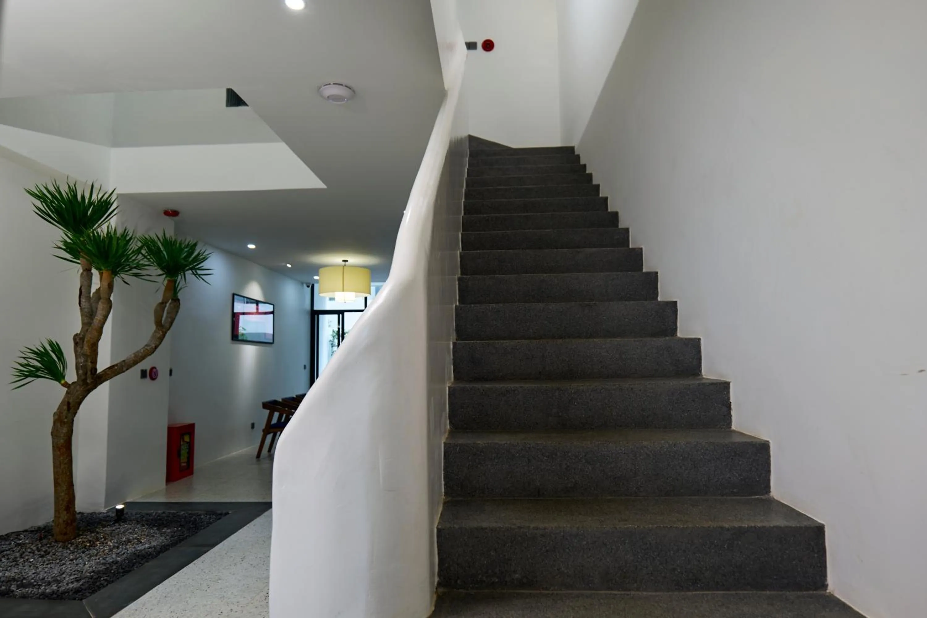 Area and facilities in The Coffee City - Healing & Retreats