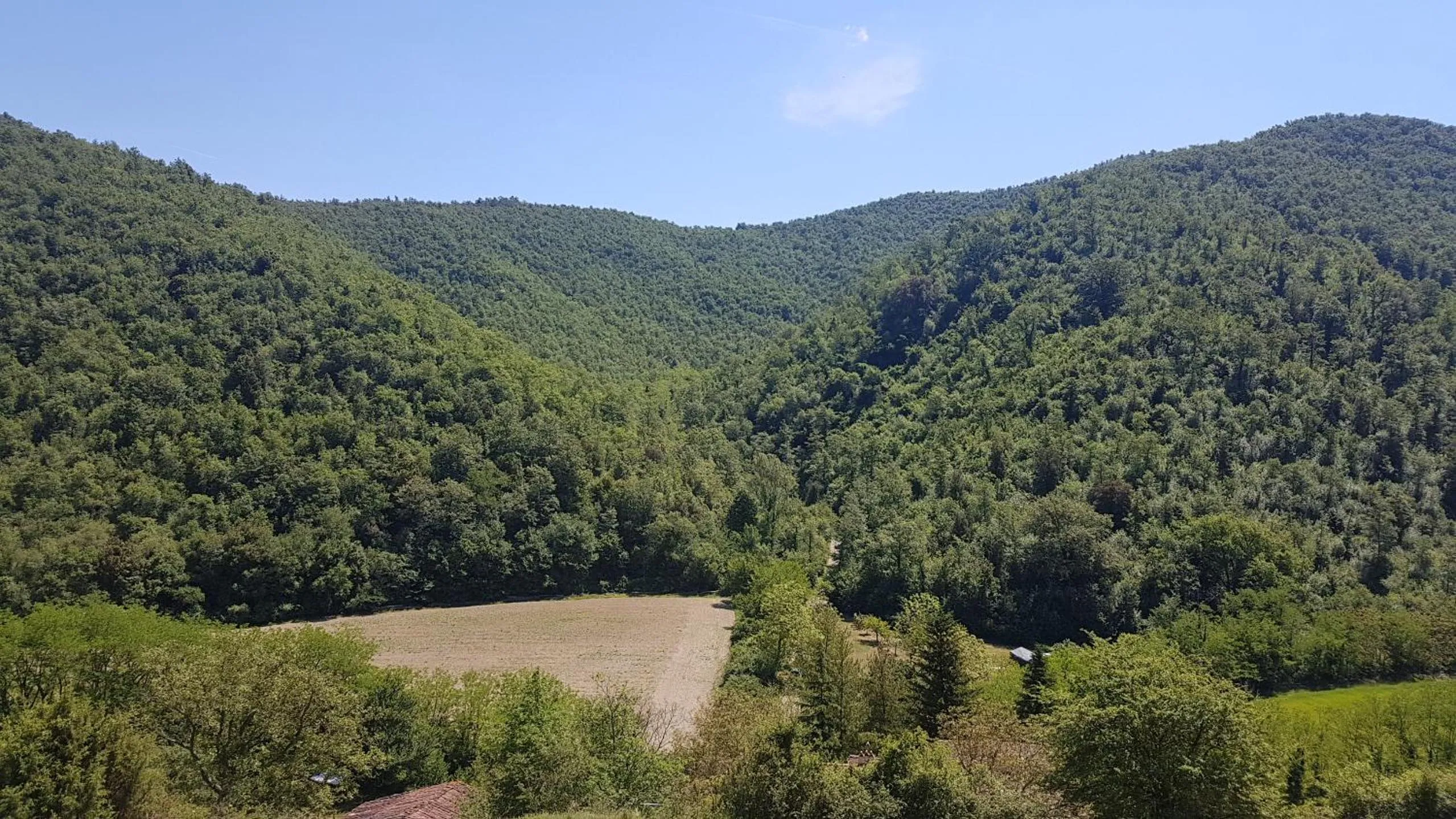 Other in Locanda Di Alberi