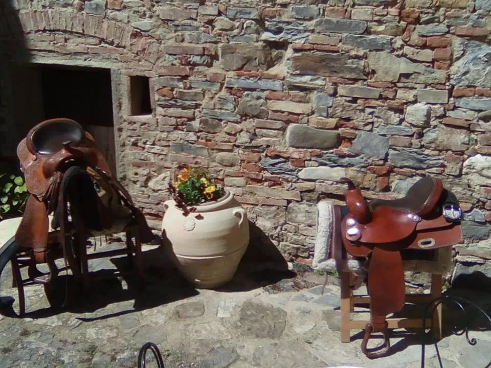 On site in Locanda Di Alberi