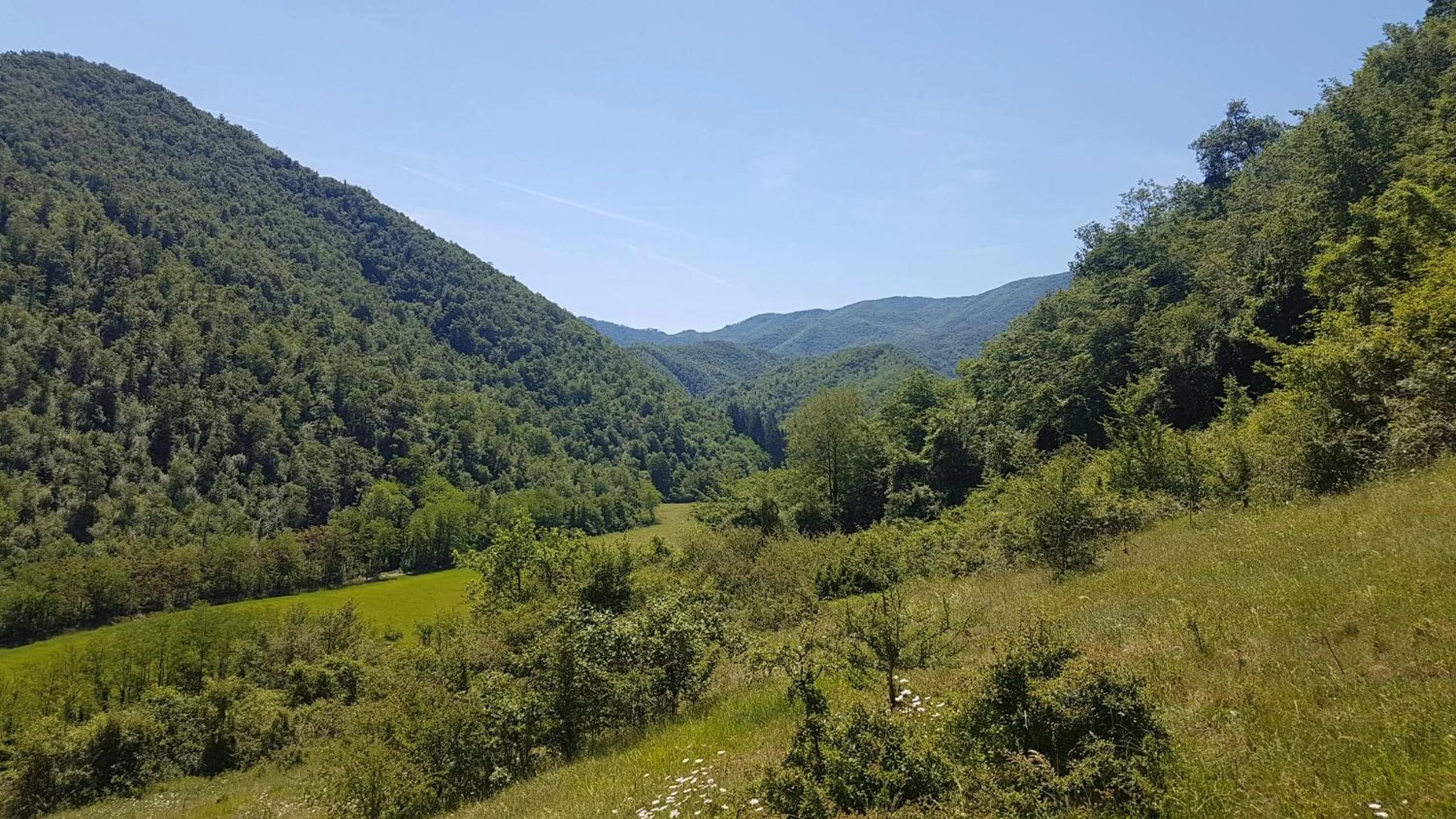 On site in Locanda Di Alberi