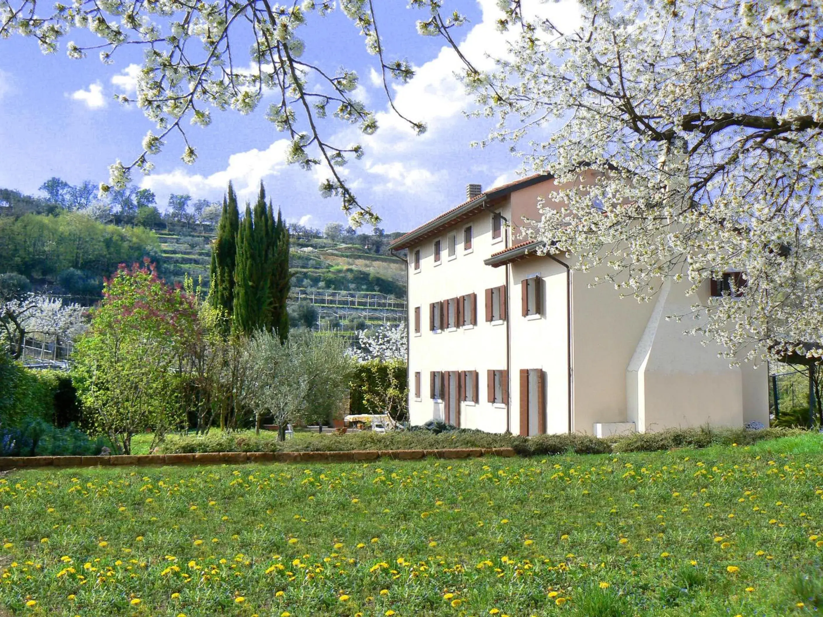 B&B Il Pettirosso B&B Il Pettirosso