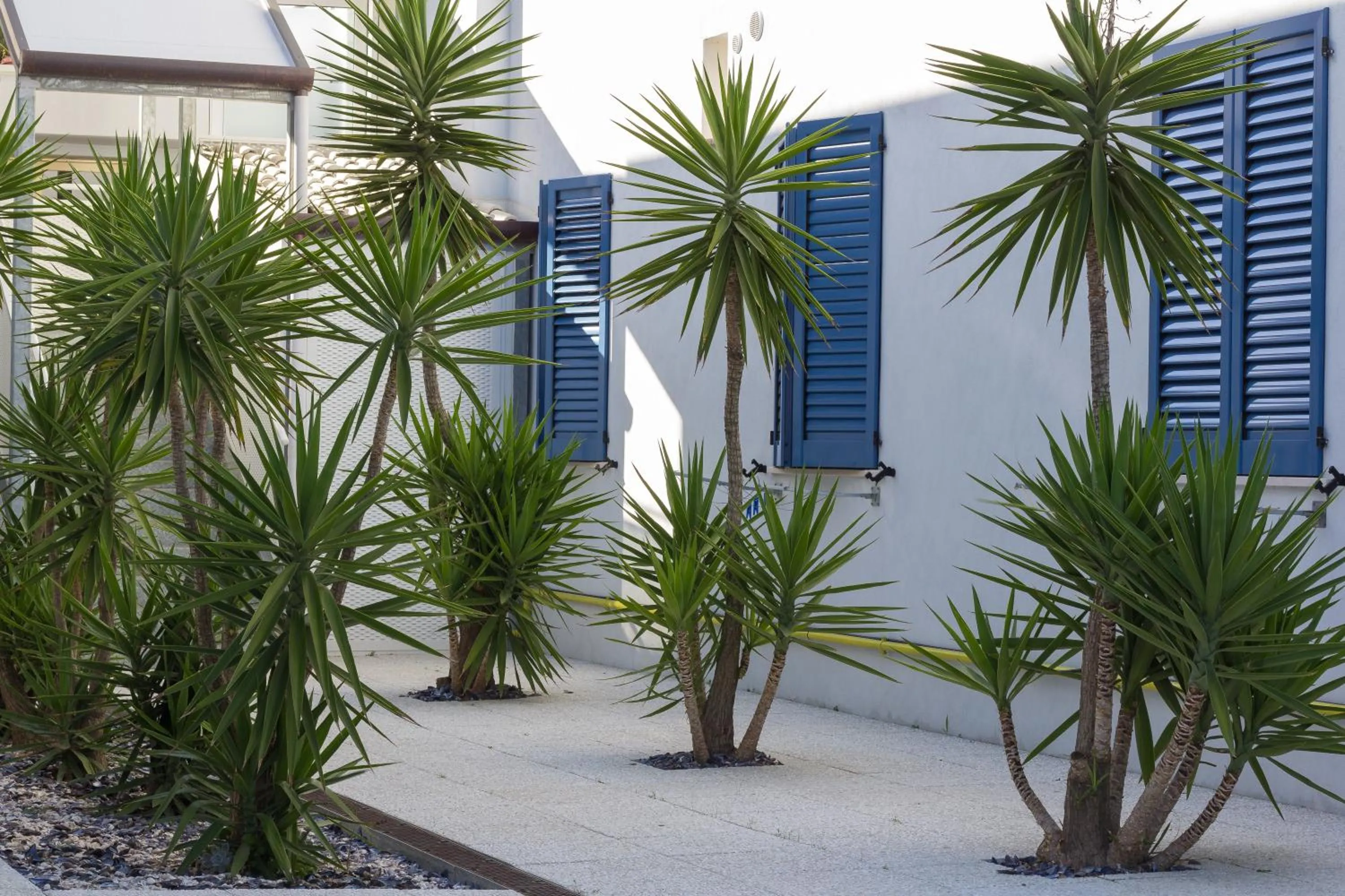 Garden in Locanda Villa Fiori