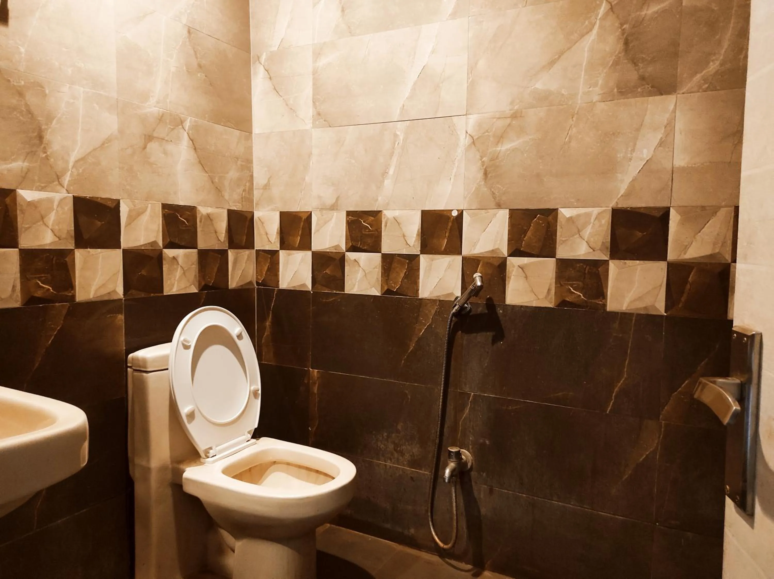 Toilet in Hotel Bhagwani Palace