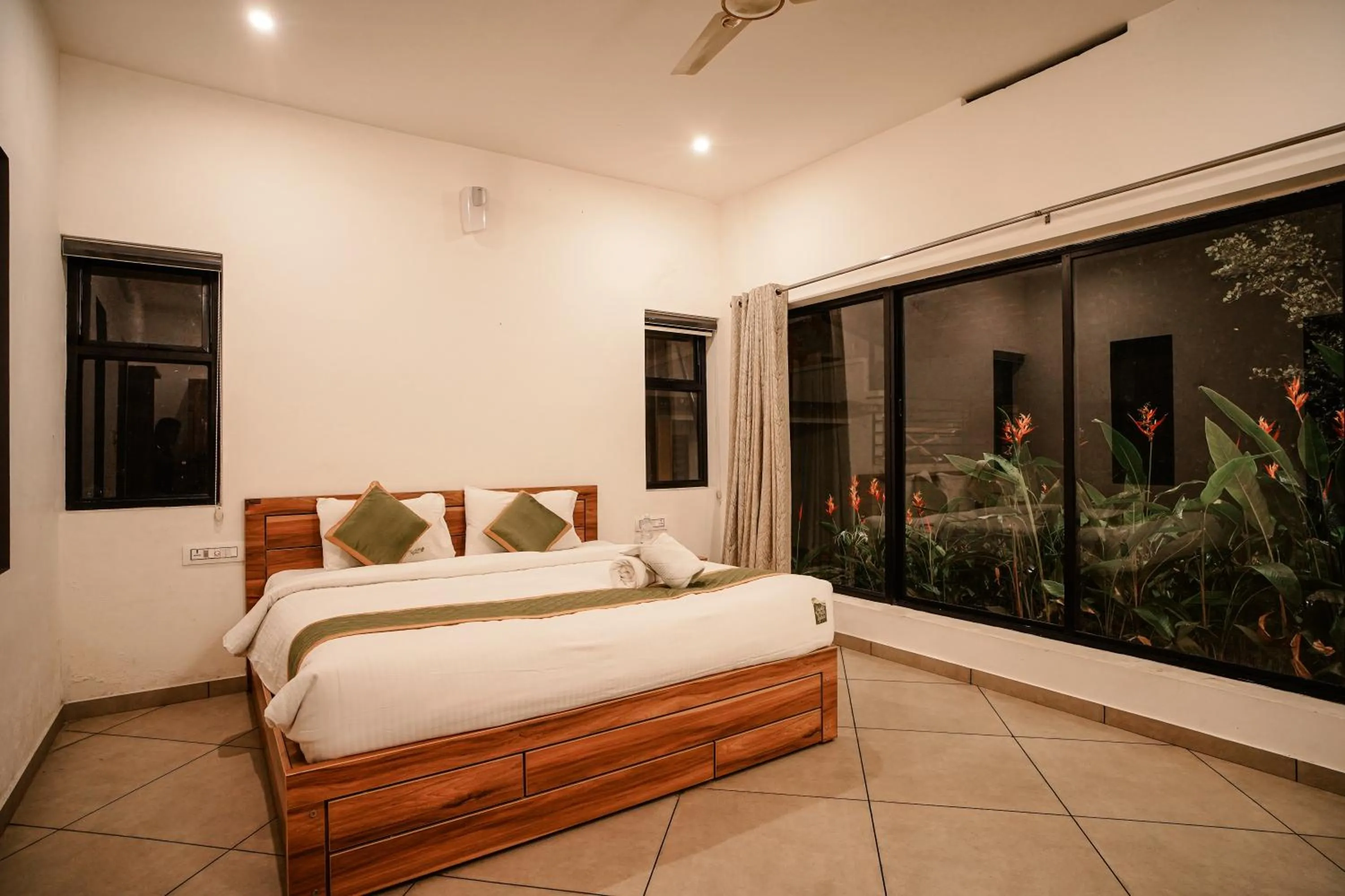 Night in Safari Hills