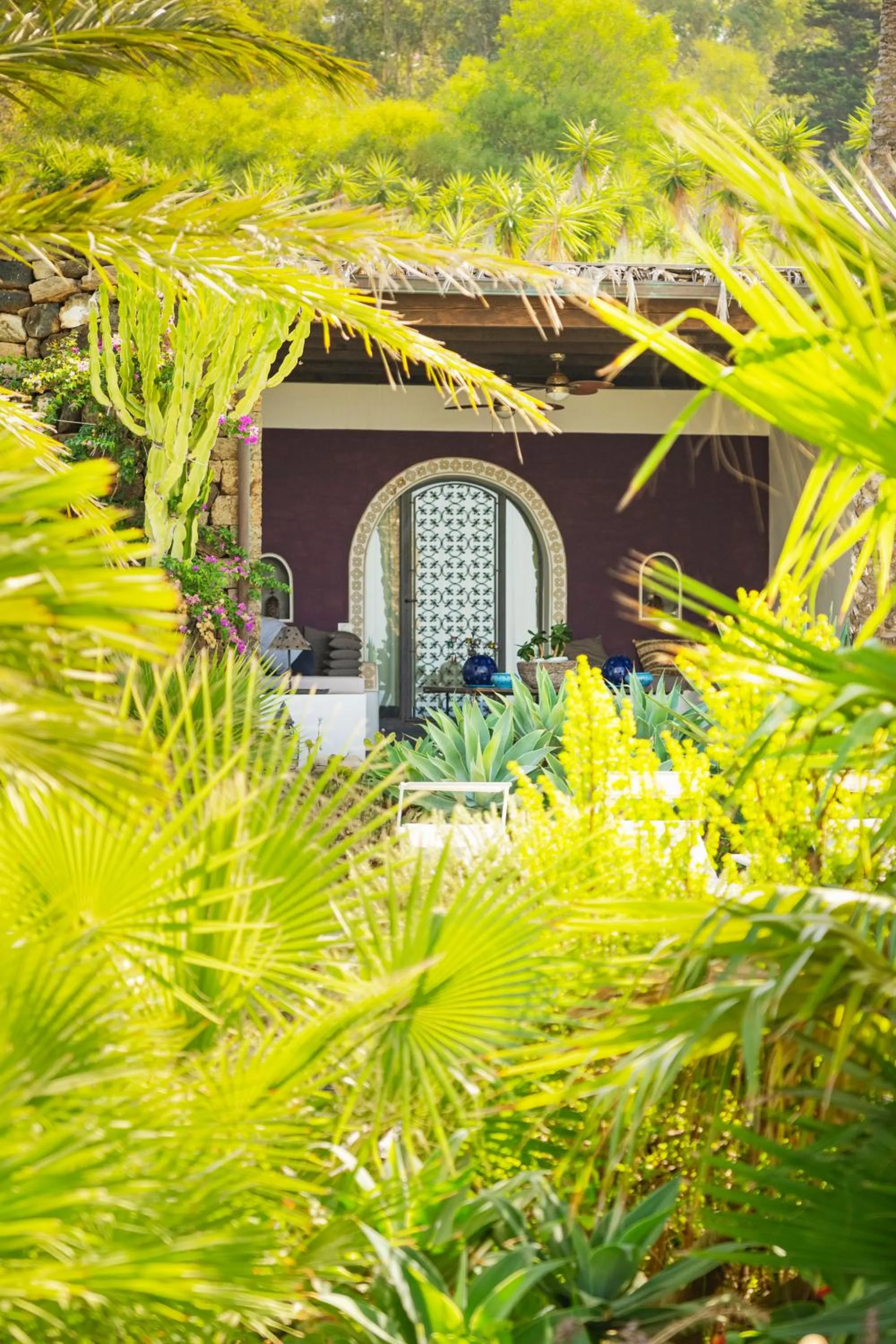 Garden in Don Mario B & B Five 5 Suites - adults only - no restaurant