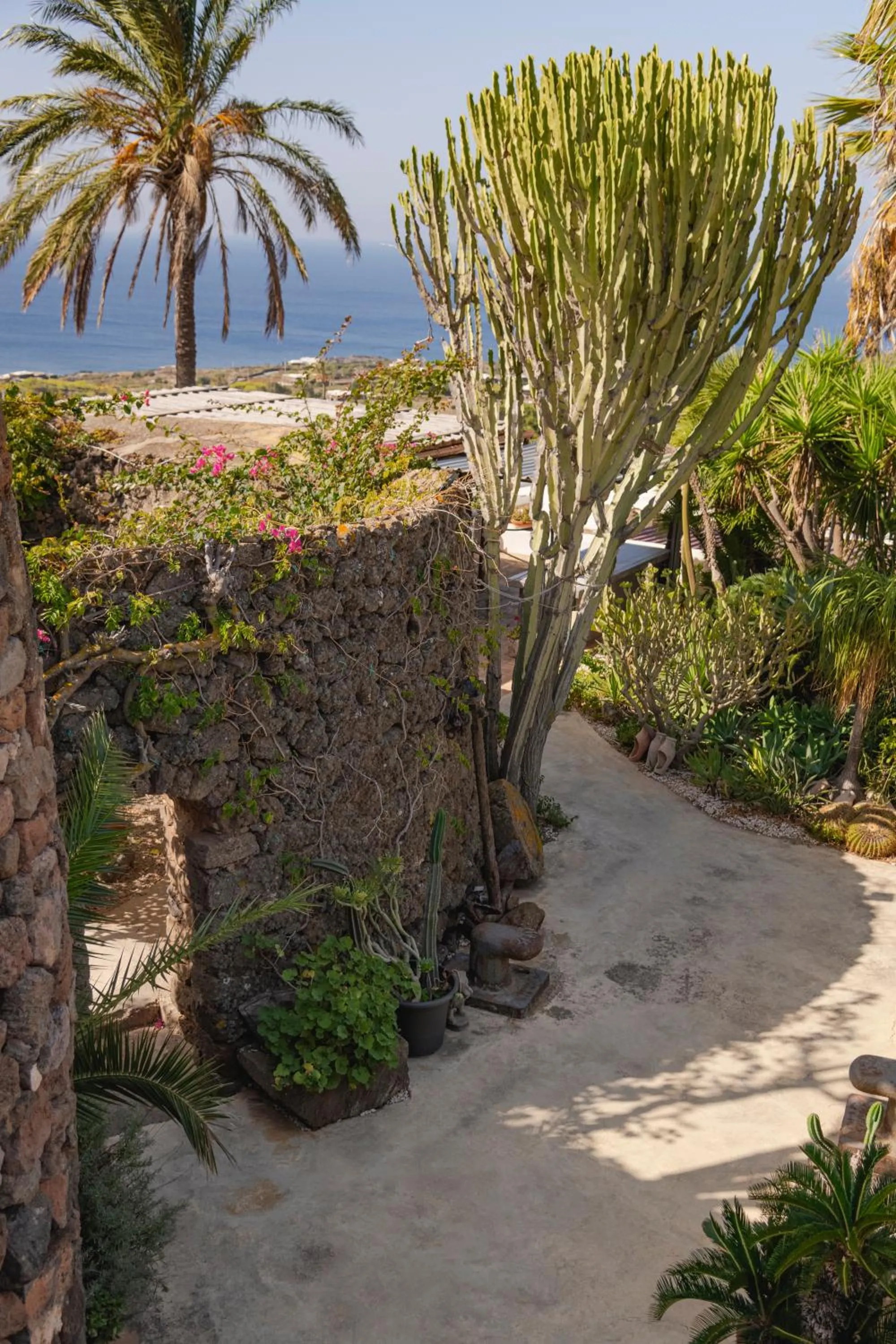 Garden in Don Mario B & B Five 5 Suites - adults only - no restaurant