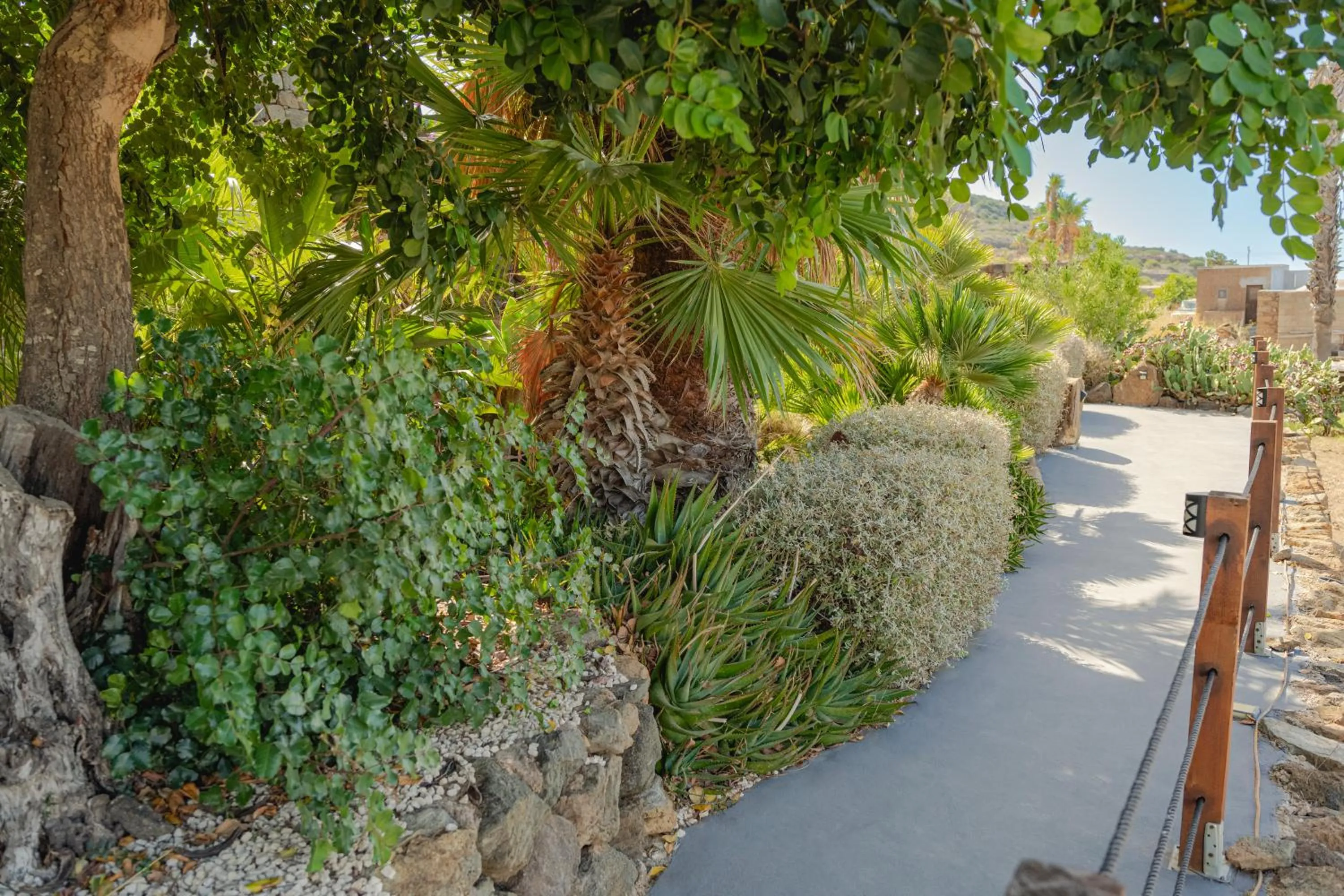 Garden in Don Mario B & B Five 5 Suites - adults only - no restaurant