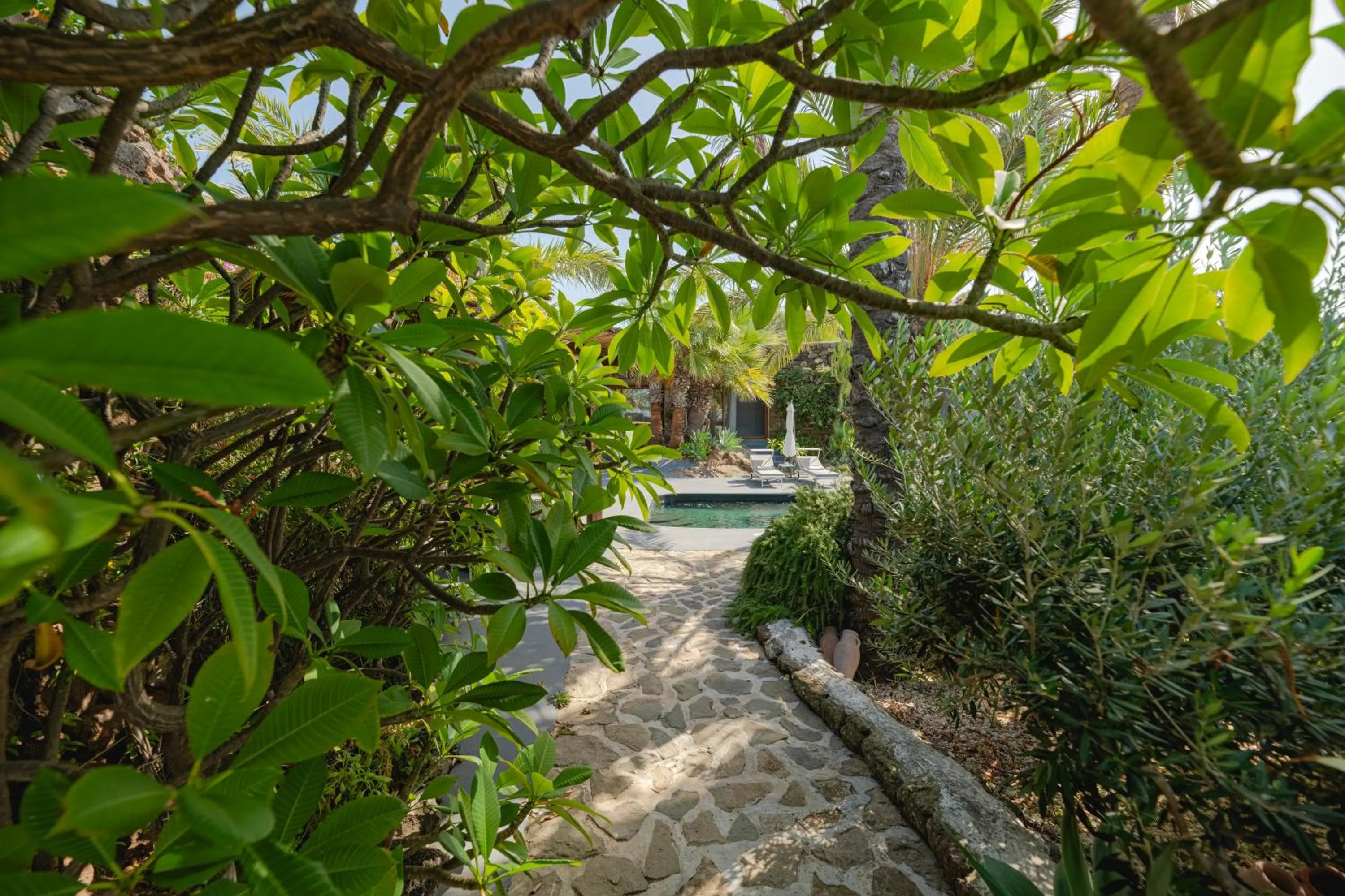 Garden in Don Mario B & B Five 5 Suites - adults only - no restaurant