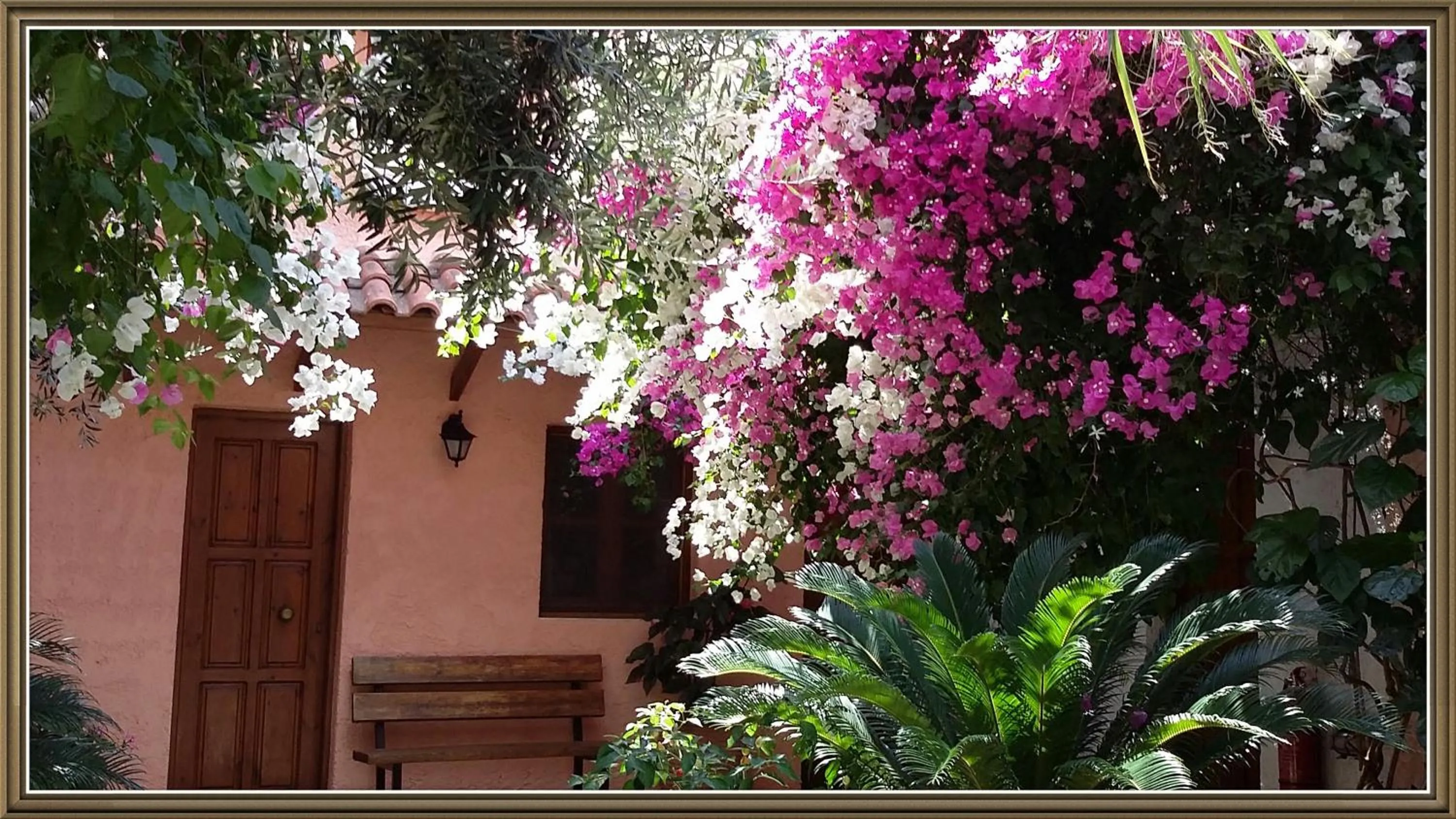 Property building in Olive tree Cottages