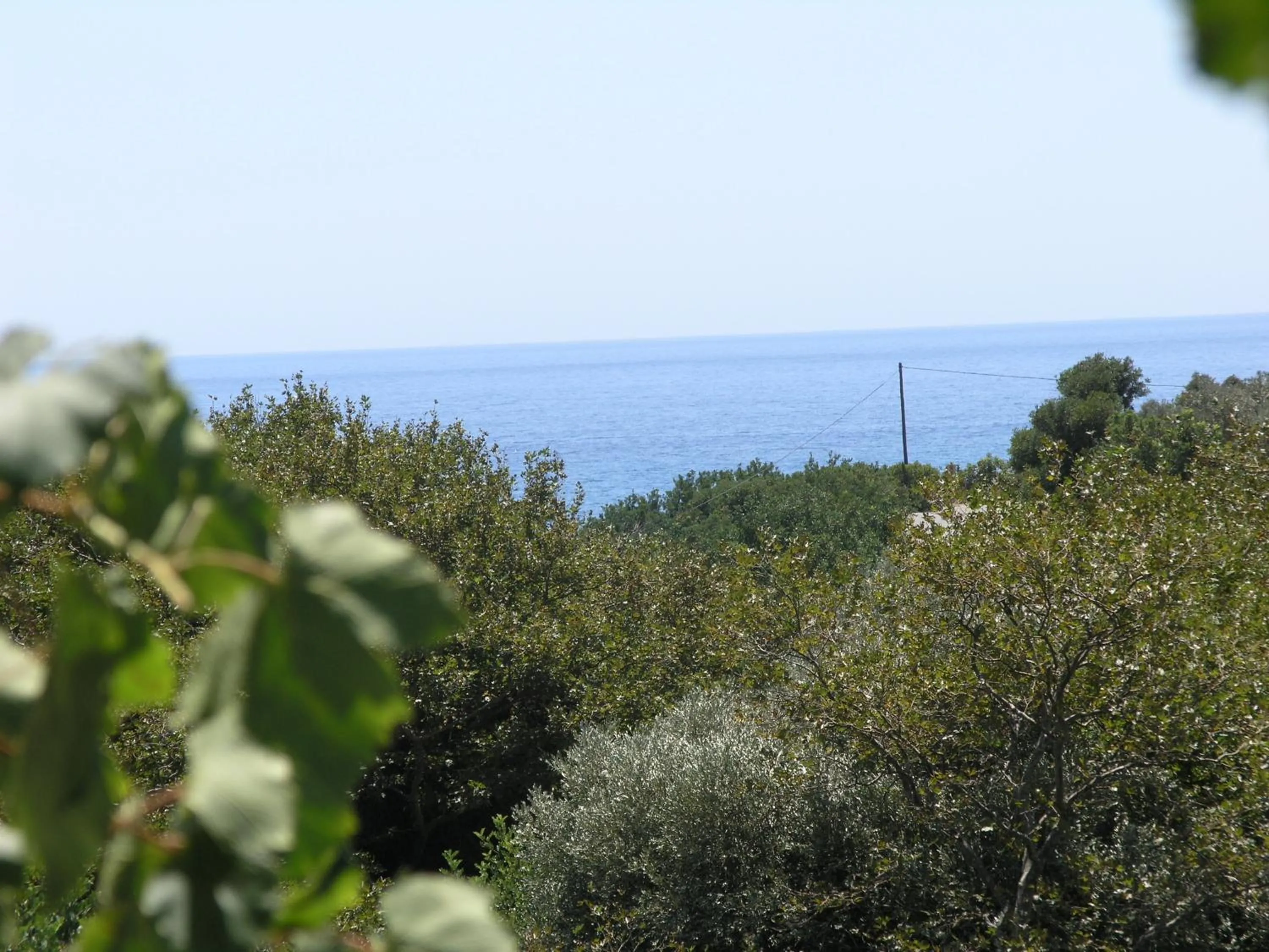View (from property/room) in Olive tree Cottages
