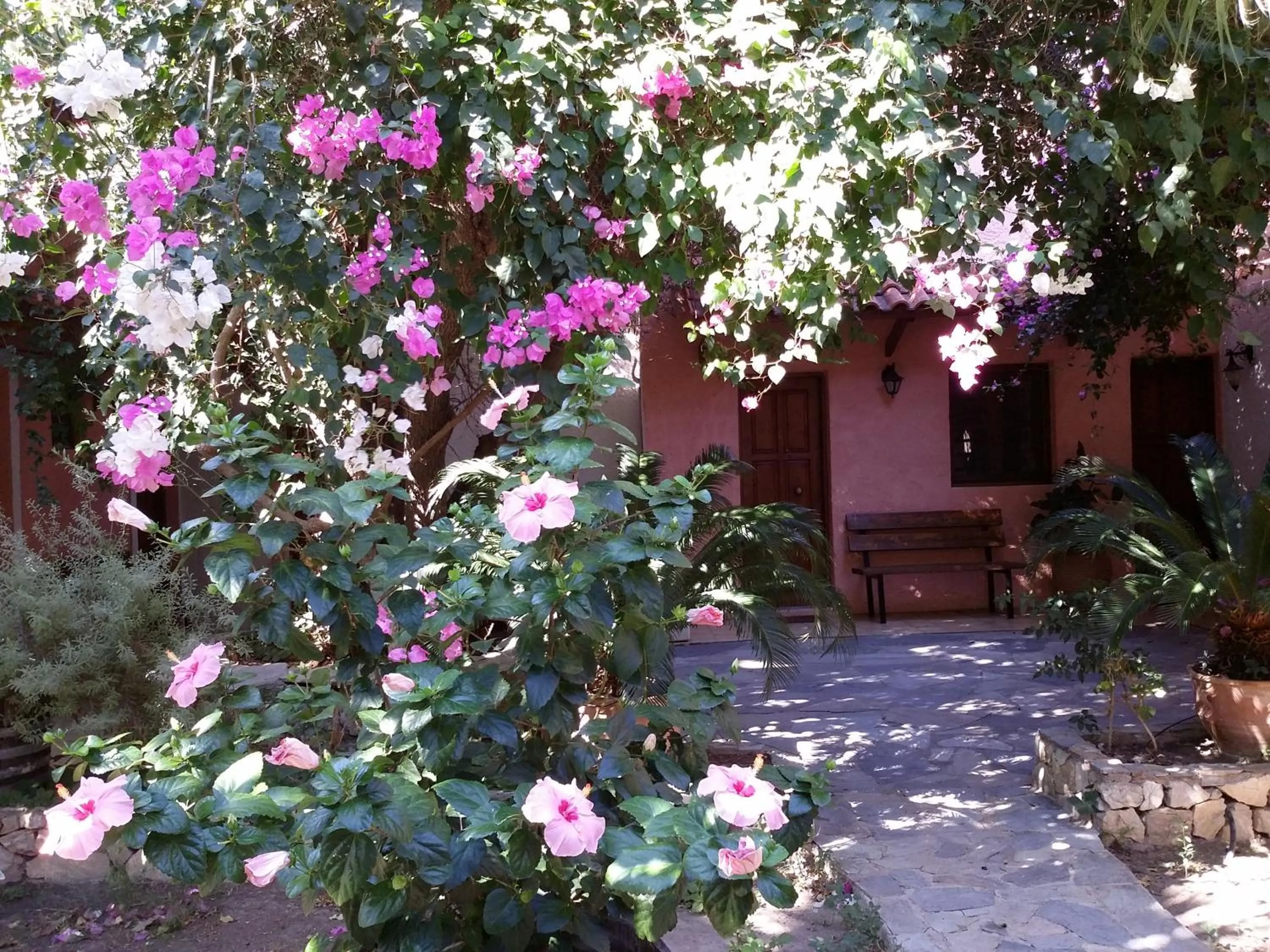 Property building in Olive tree Cottages