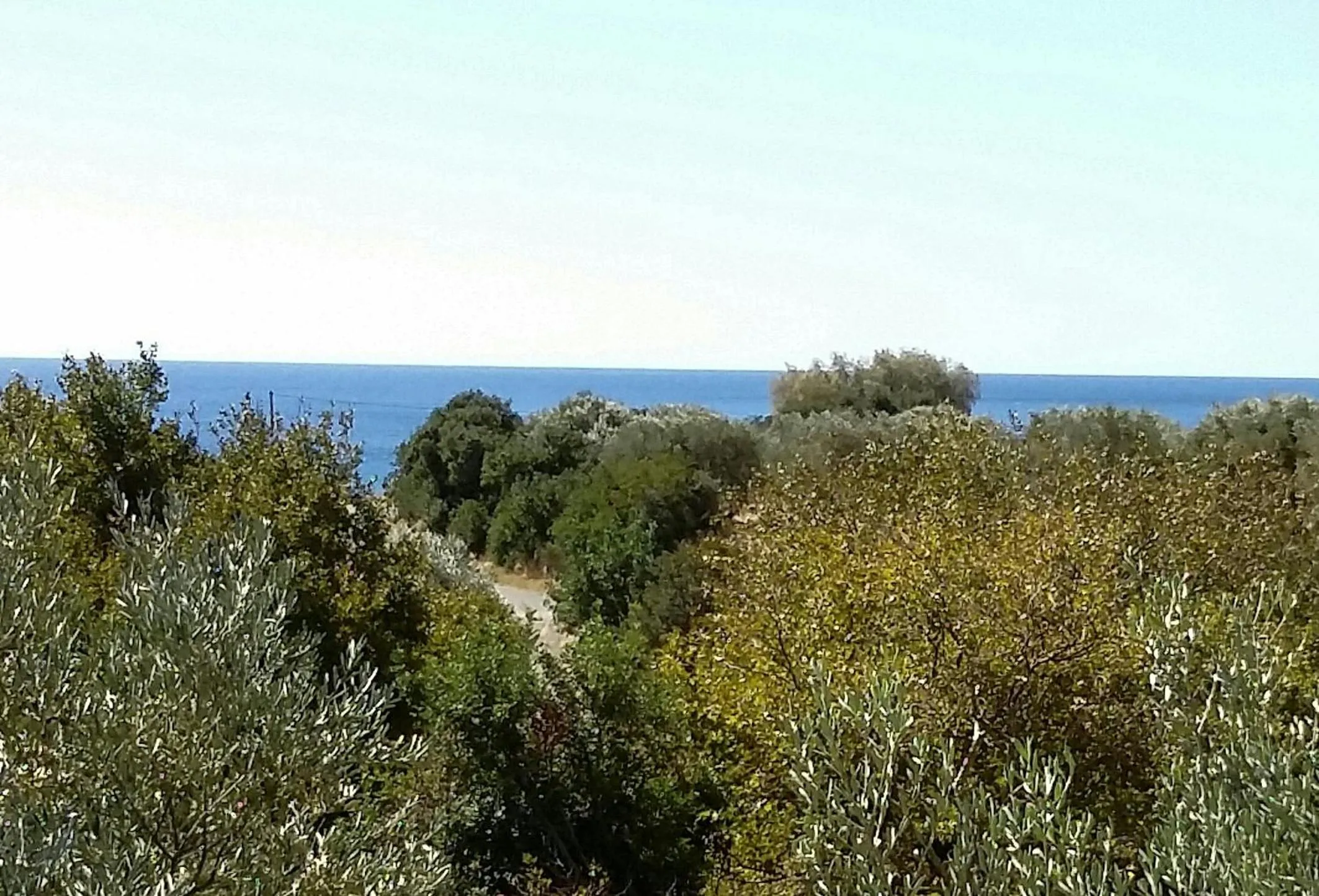 Sea view in Olive tree Cottages