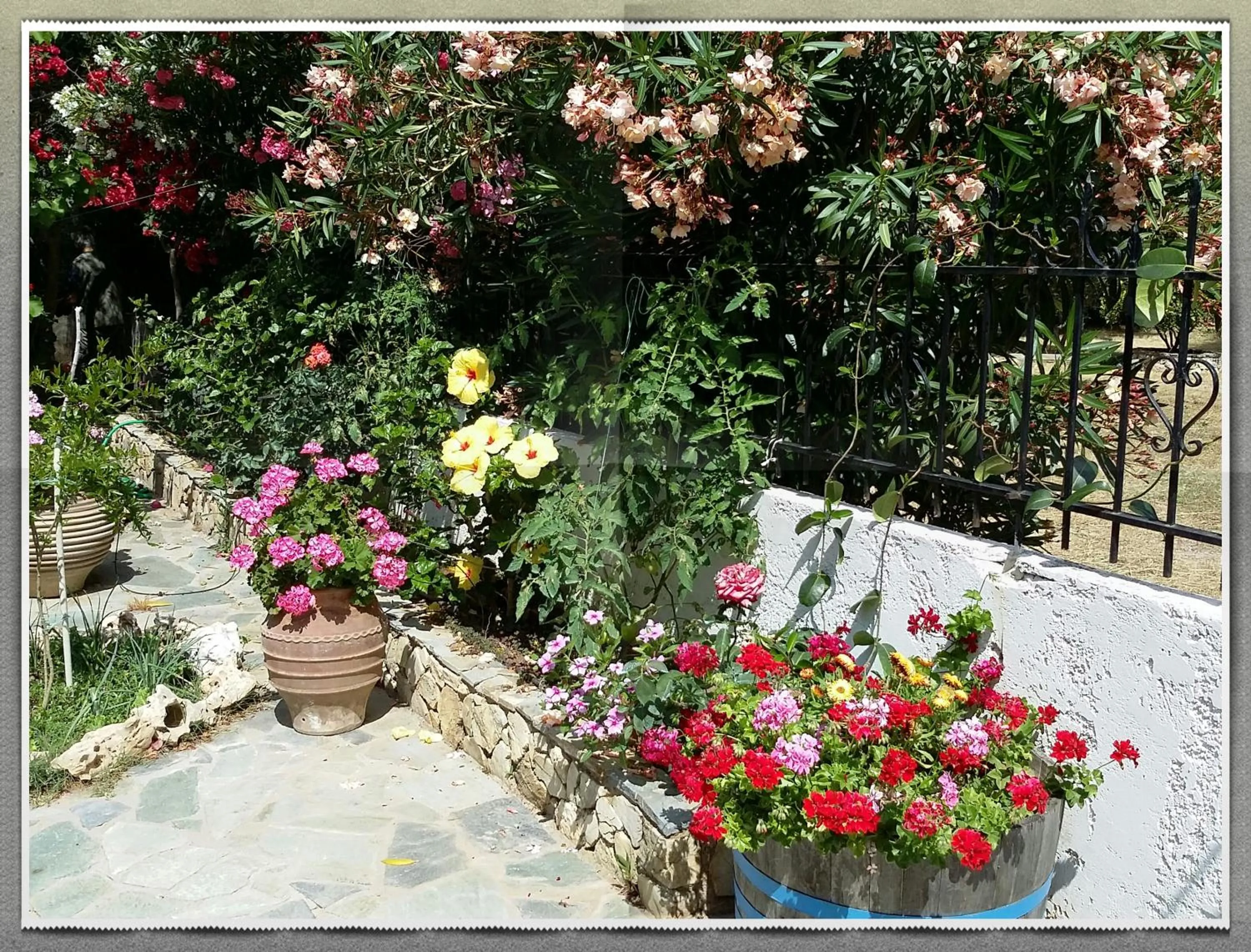 Garden in Olive tree Cottages