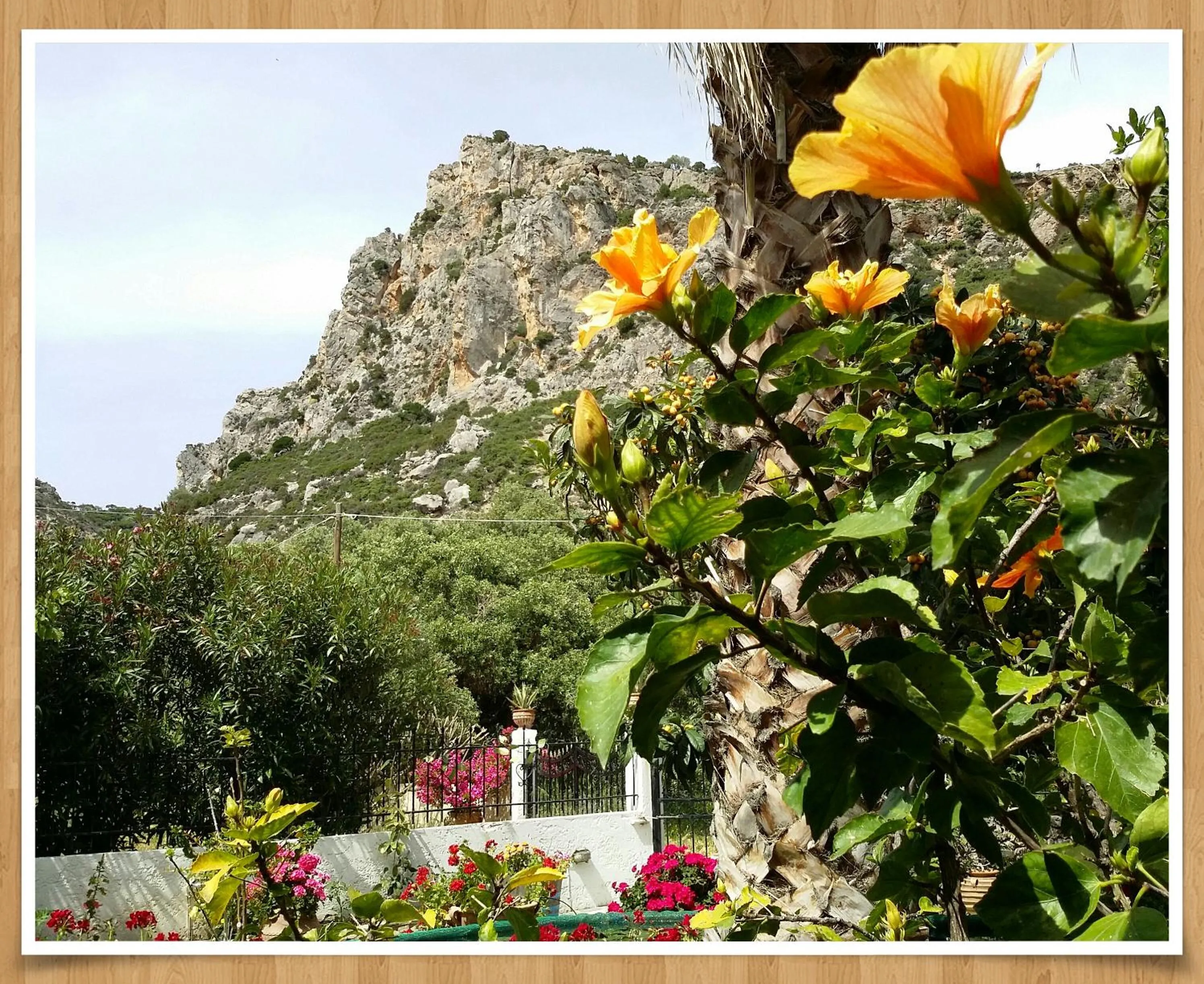 Natural landscape in Olive tree Cottages
