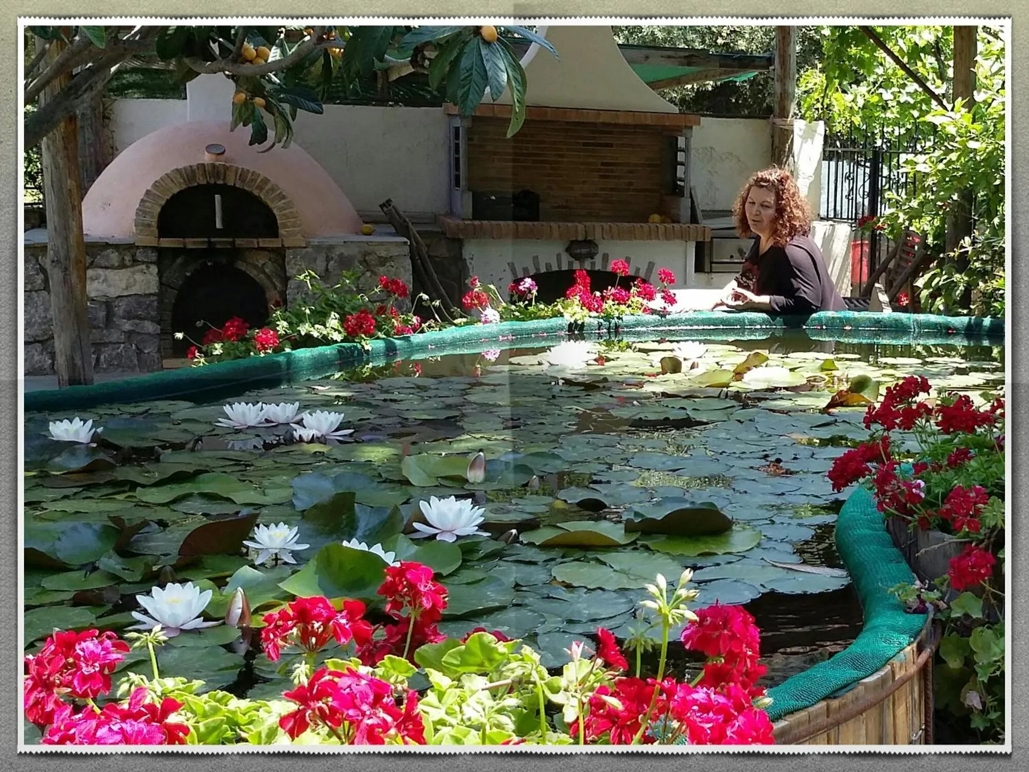 Lake view in Olive tree Cottages