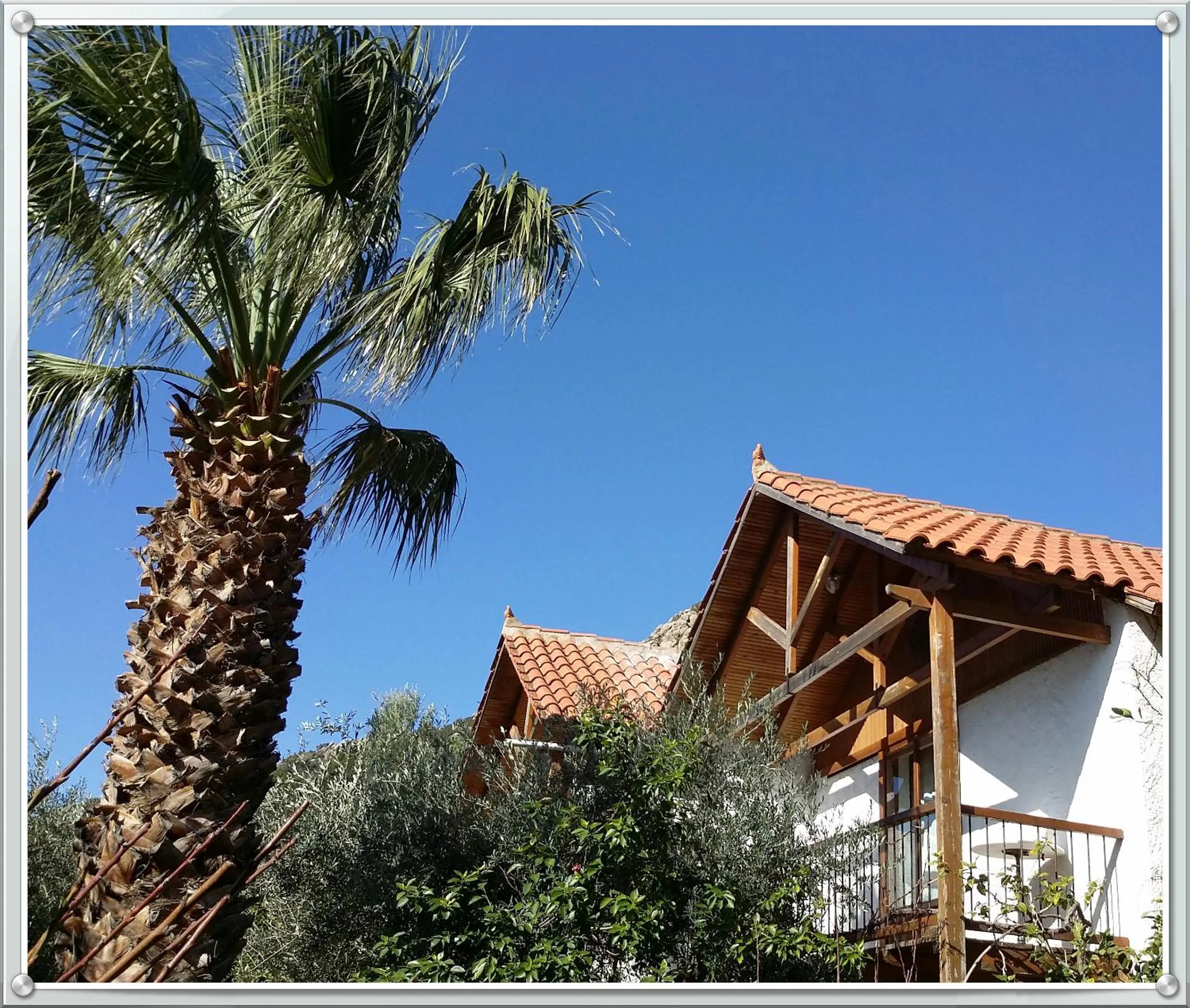 Property building in Olive tree Cottages