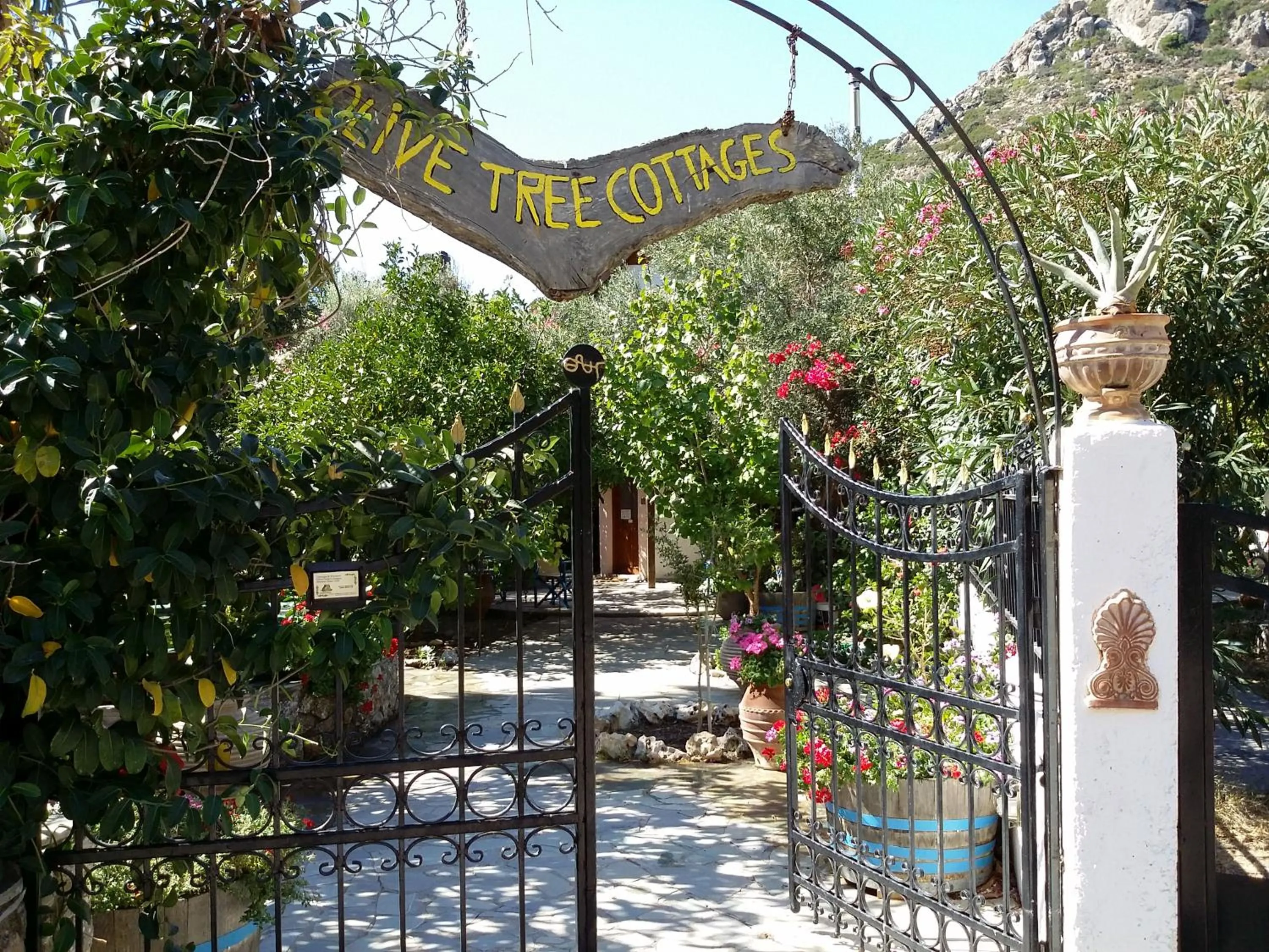 Logo/Certificate/Sign in Olive tree Cottages