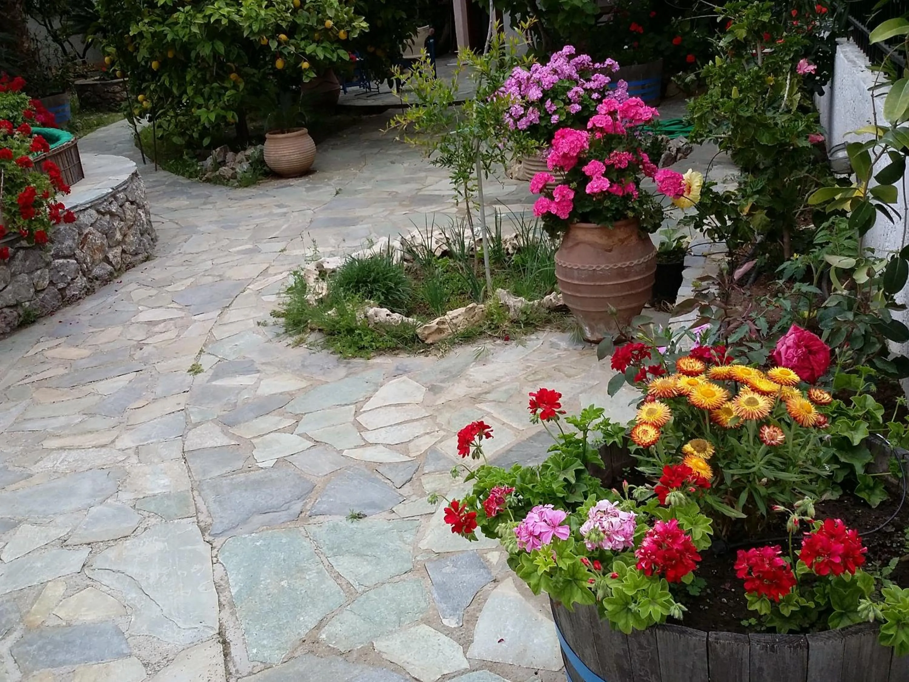 Spring in Olive tree Cottages