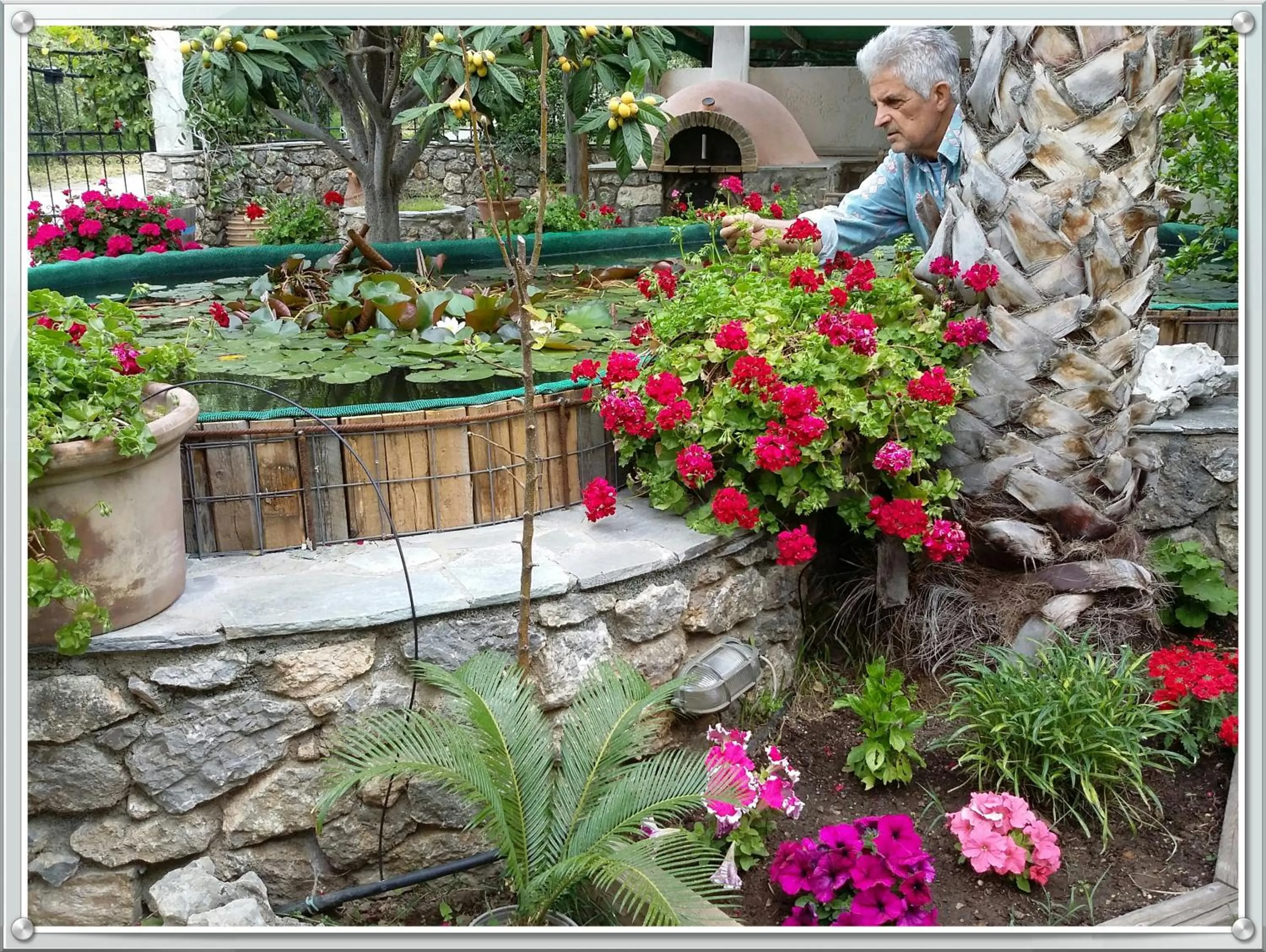 Spring in Olive tree Cottages