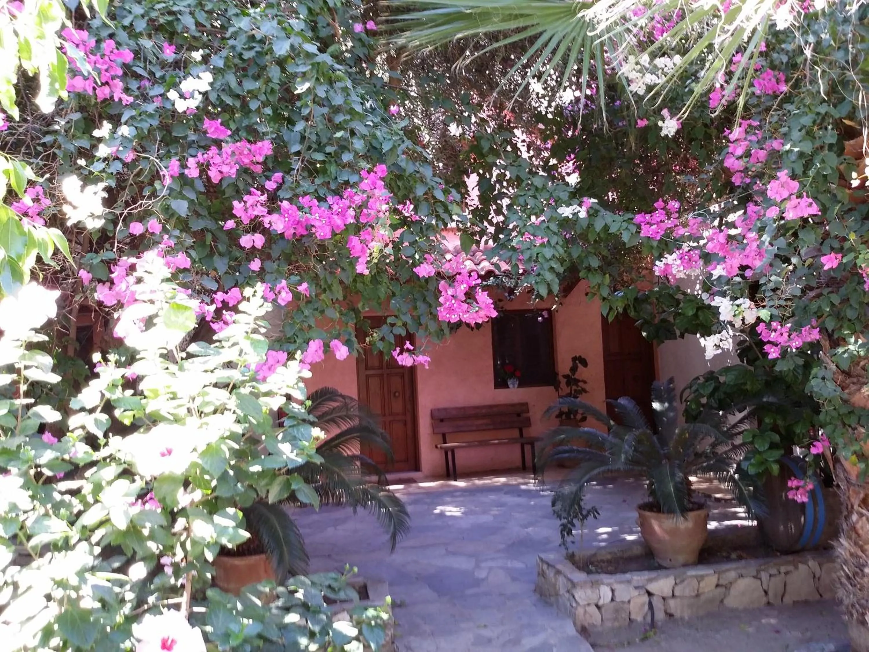 Property building in Olive tree Cottages