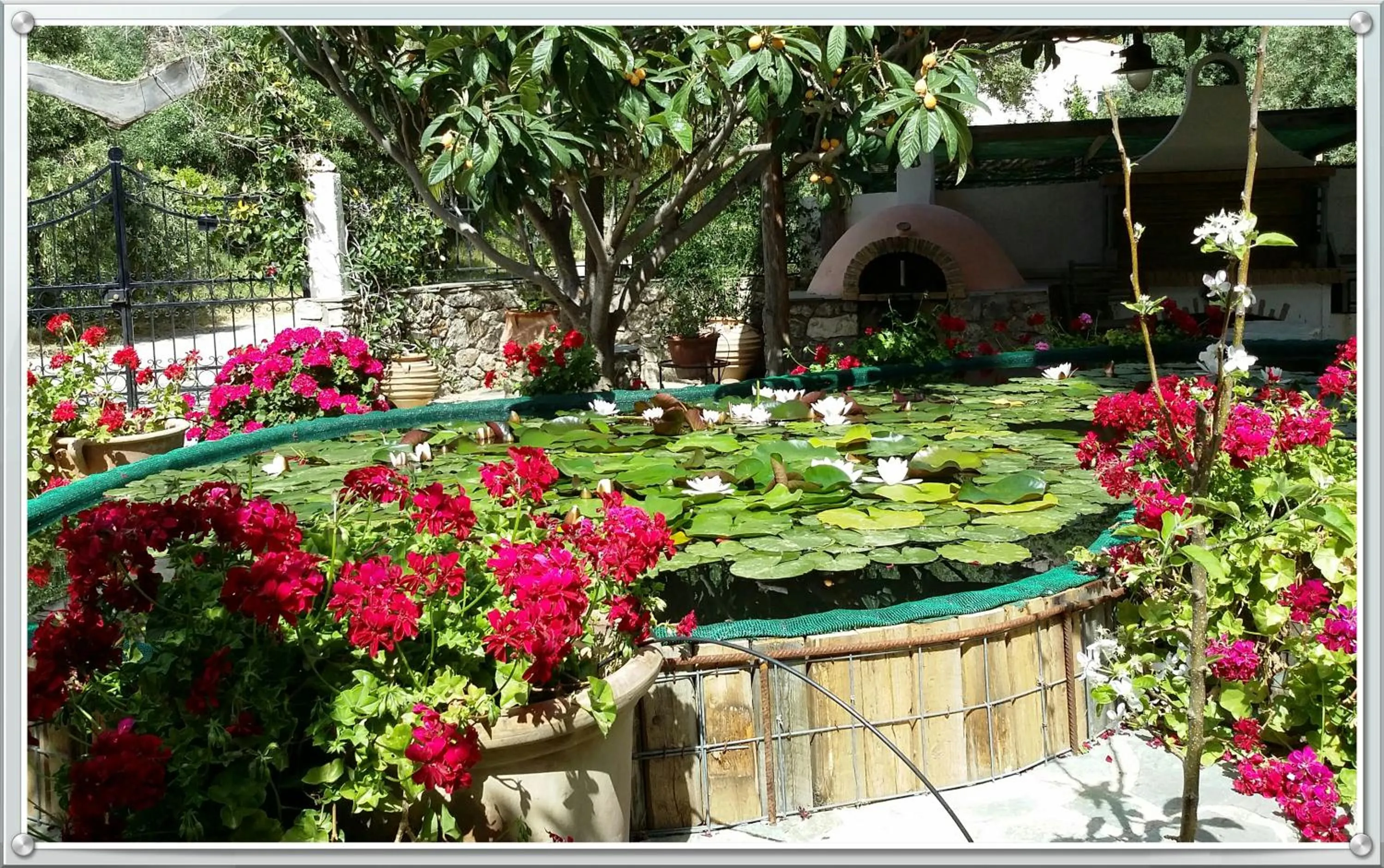Spring in Olive tree Cottages