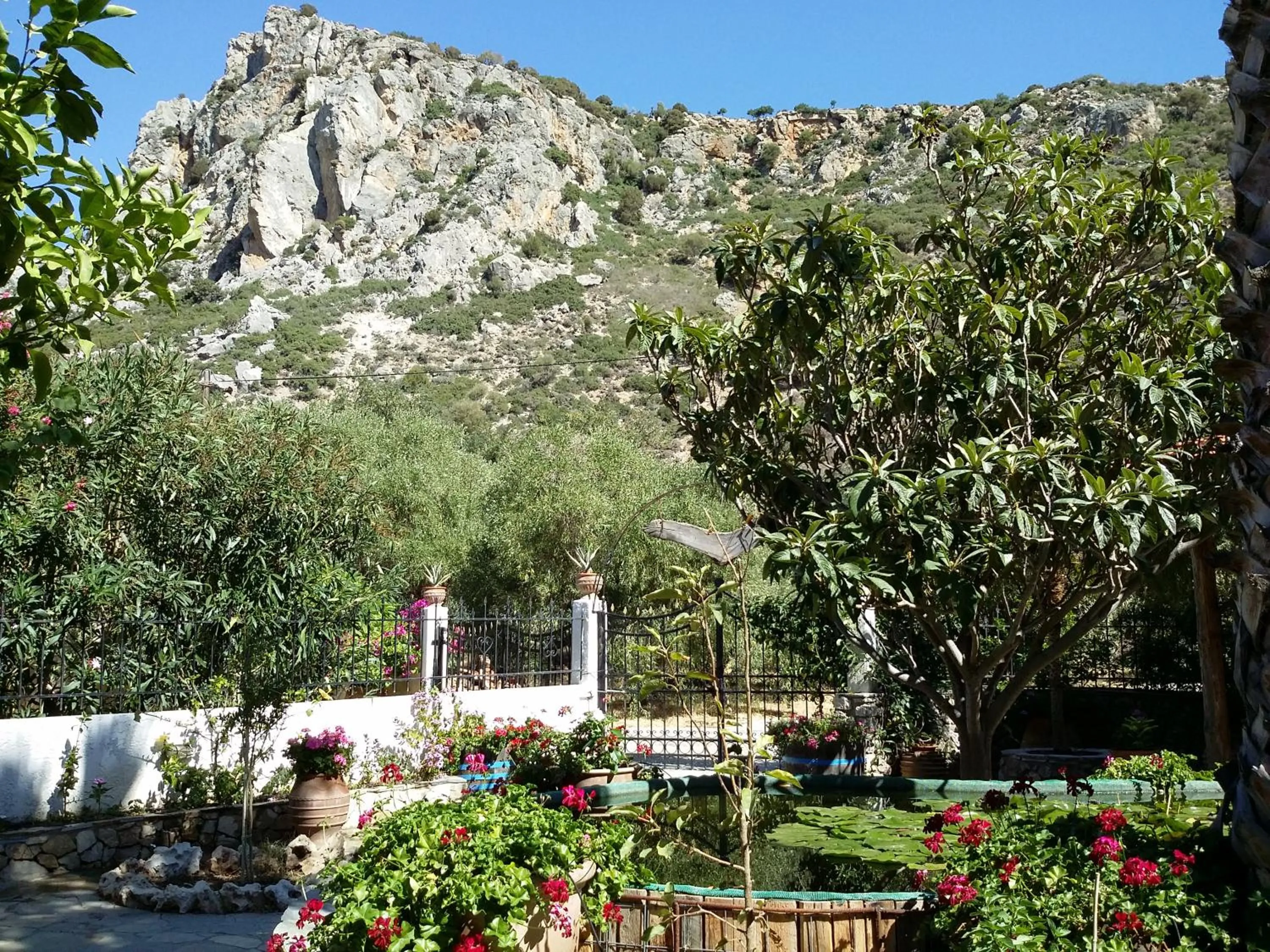 Mountain view in Olive tree Cottages