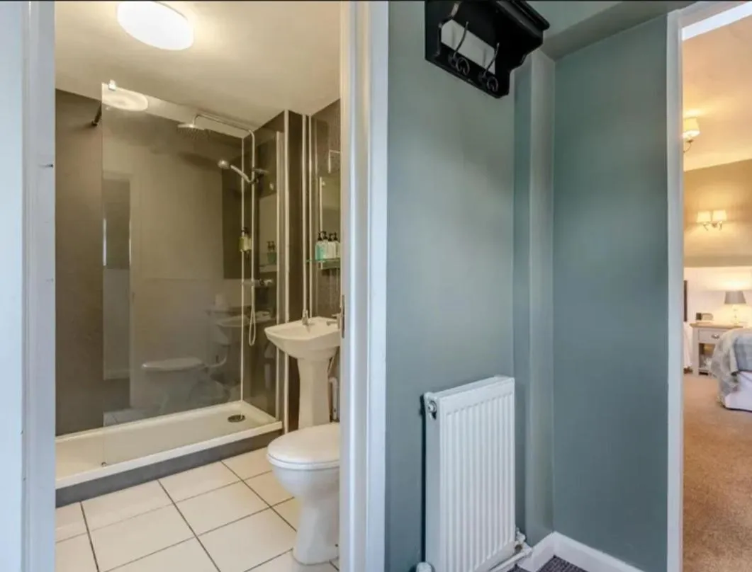 Curly Tail Accommodation