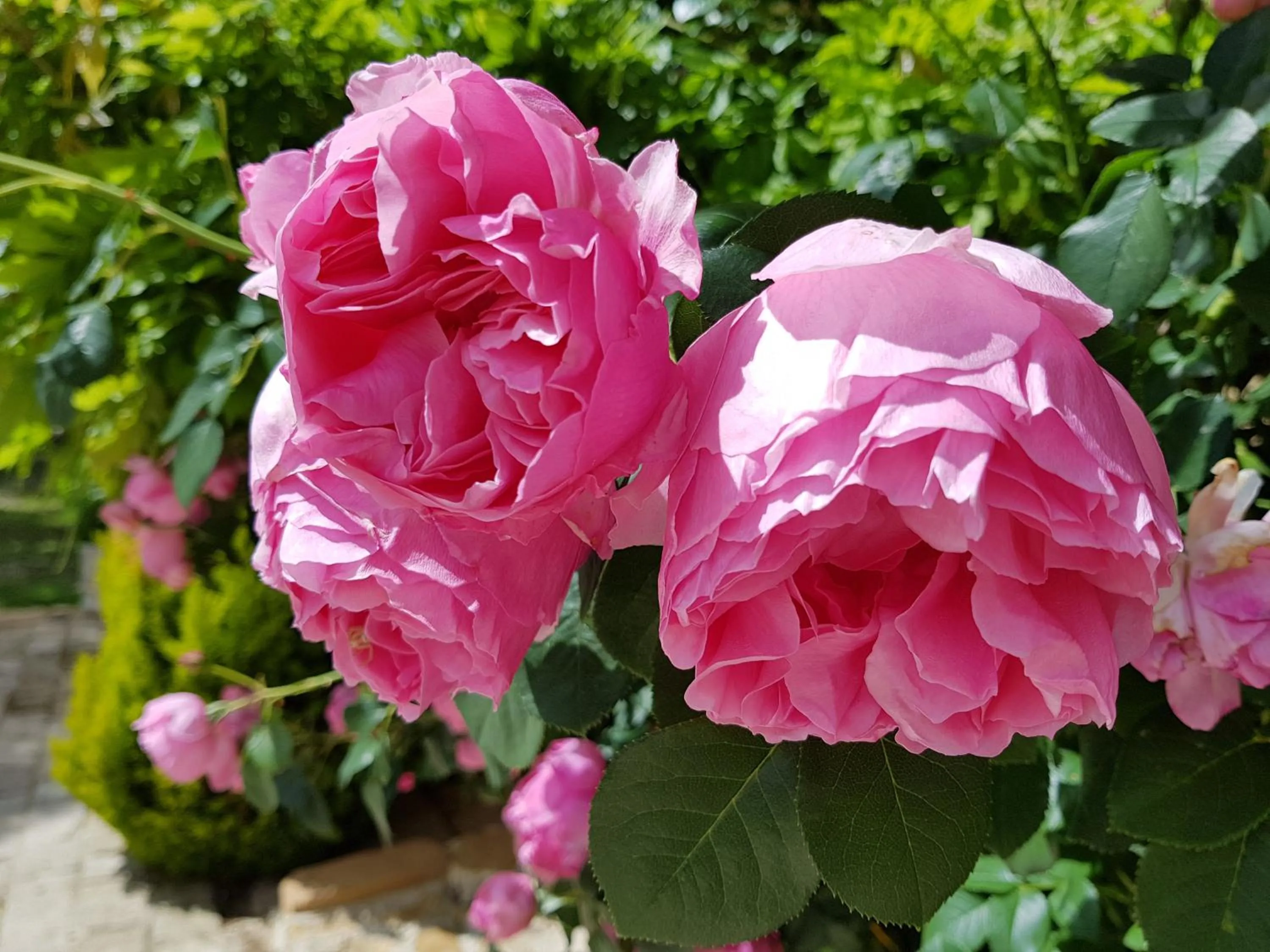 Spring in Le Clos Des Anges