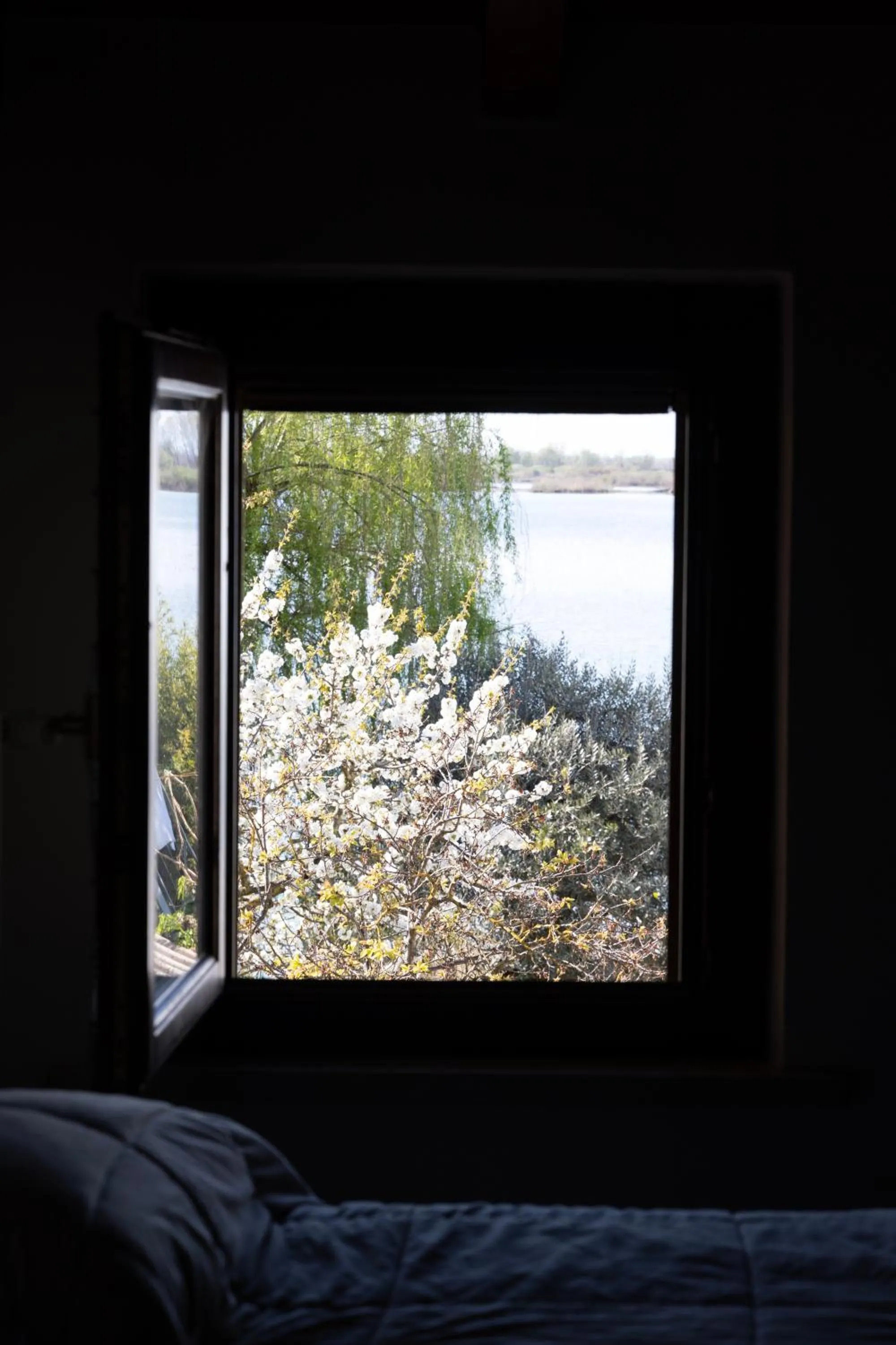 Natural landscape in B&B Casanonni Borgo Angeli