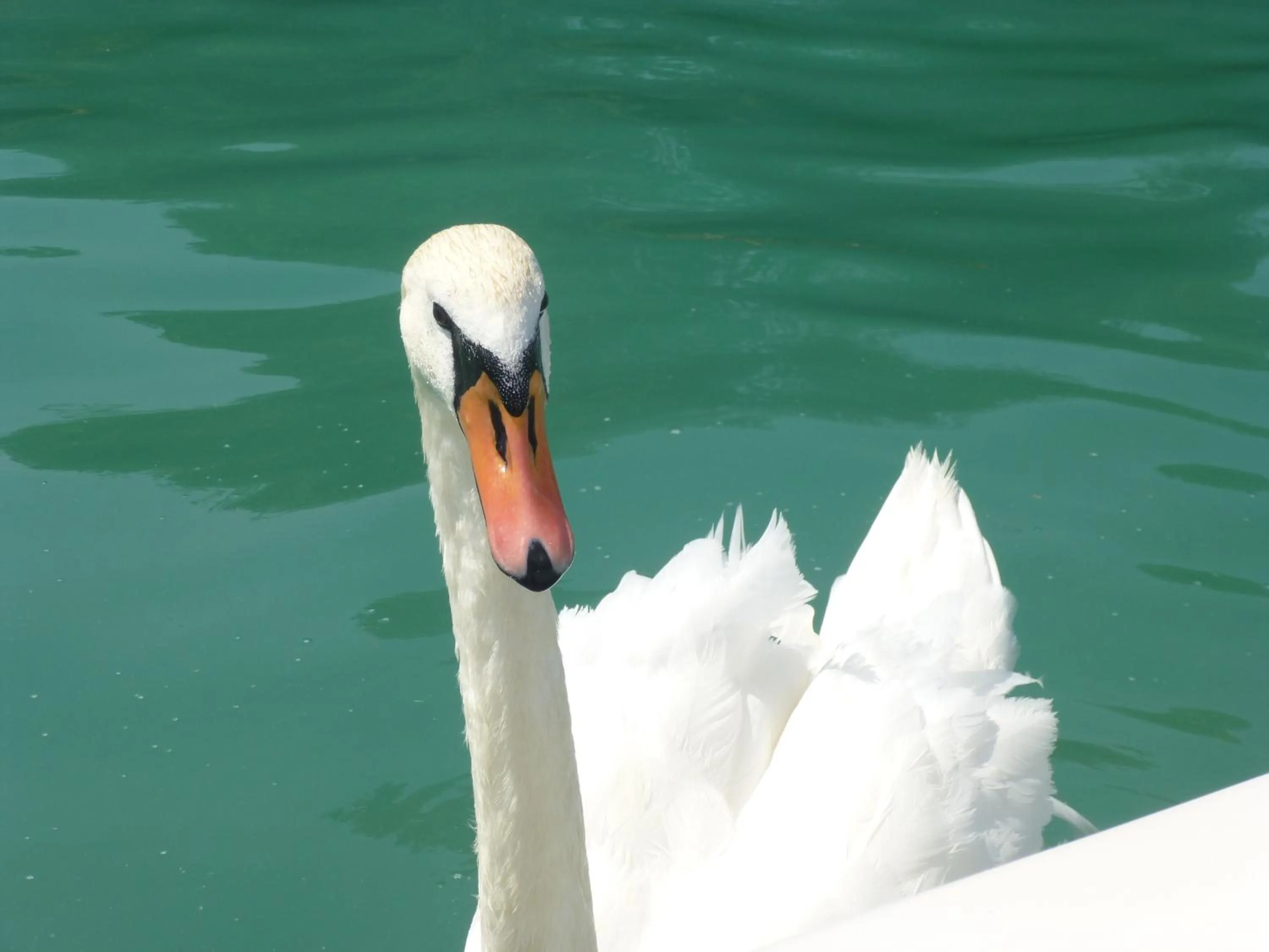 Other in Landhotel Waldmühle
