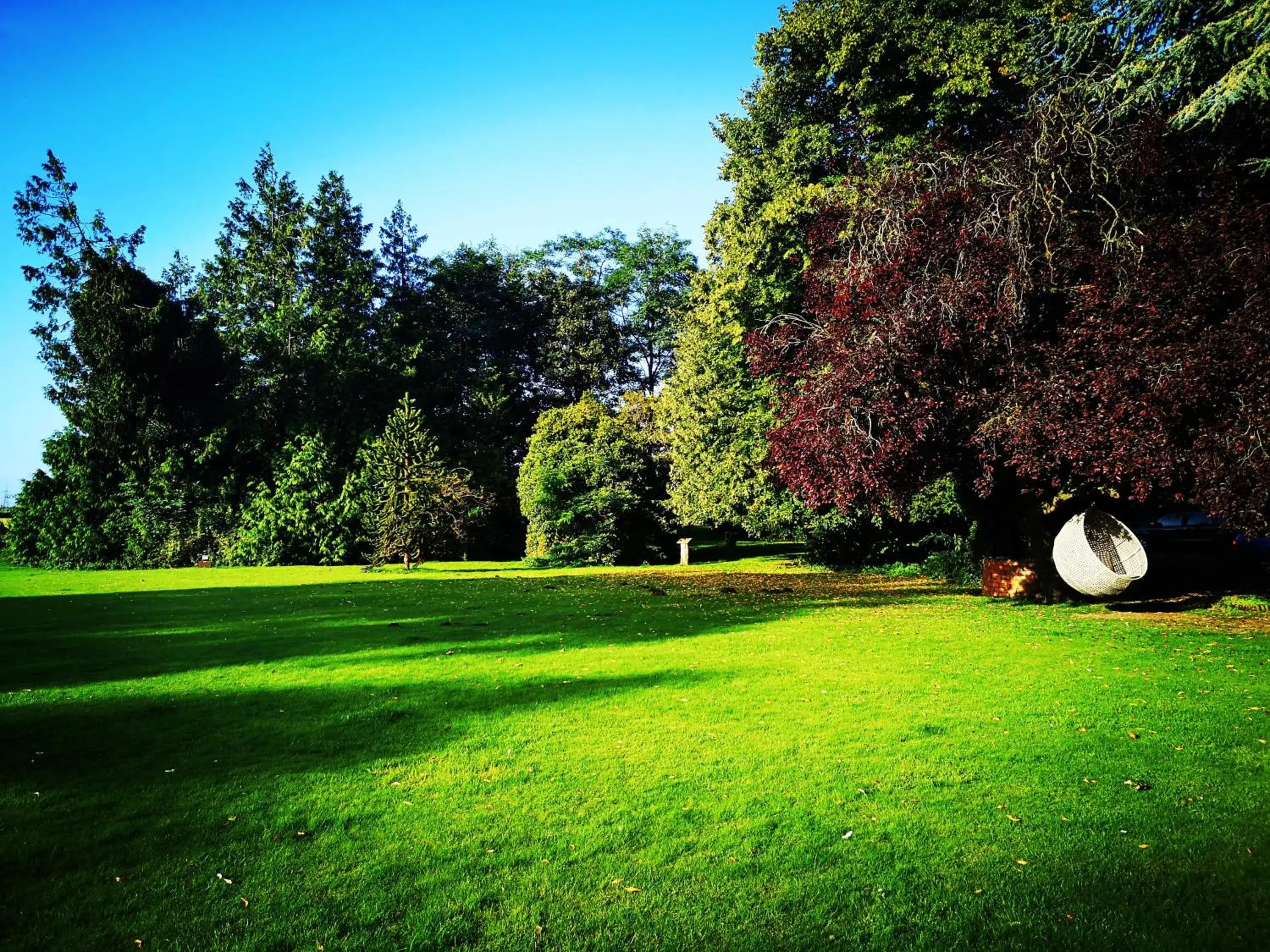 Garden view in Hatherley Manor Hotel & Spa Garden view in Hatherley Manor Hotel & Spa