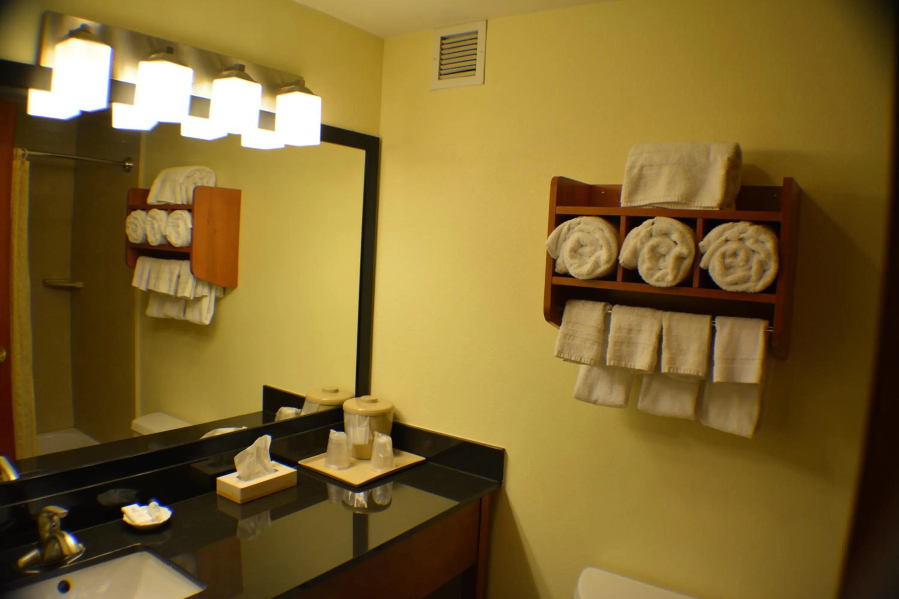Bathroom in Clarion Hotel & Suites University-Shippensburg