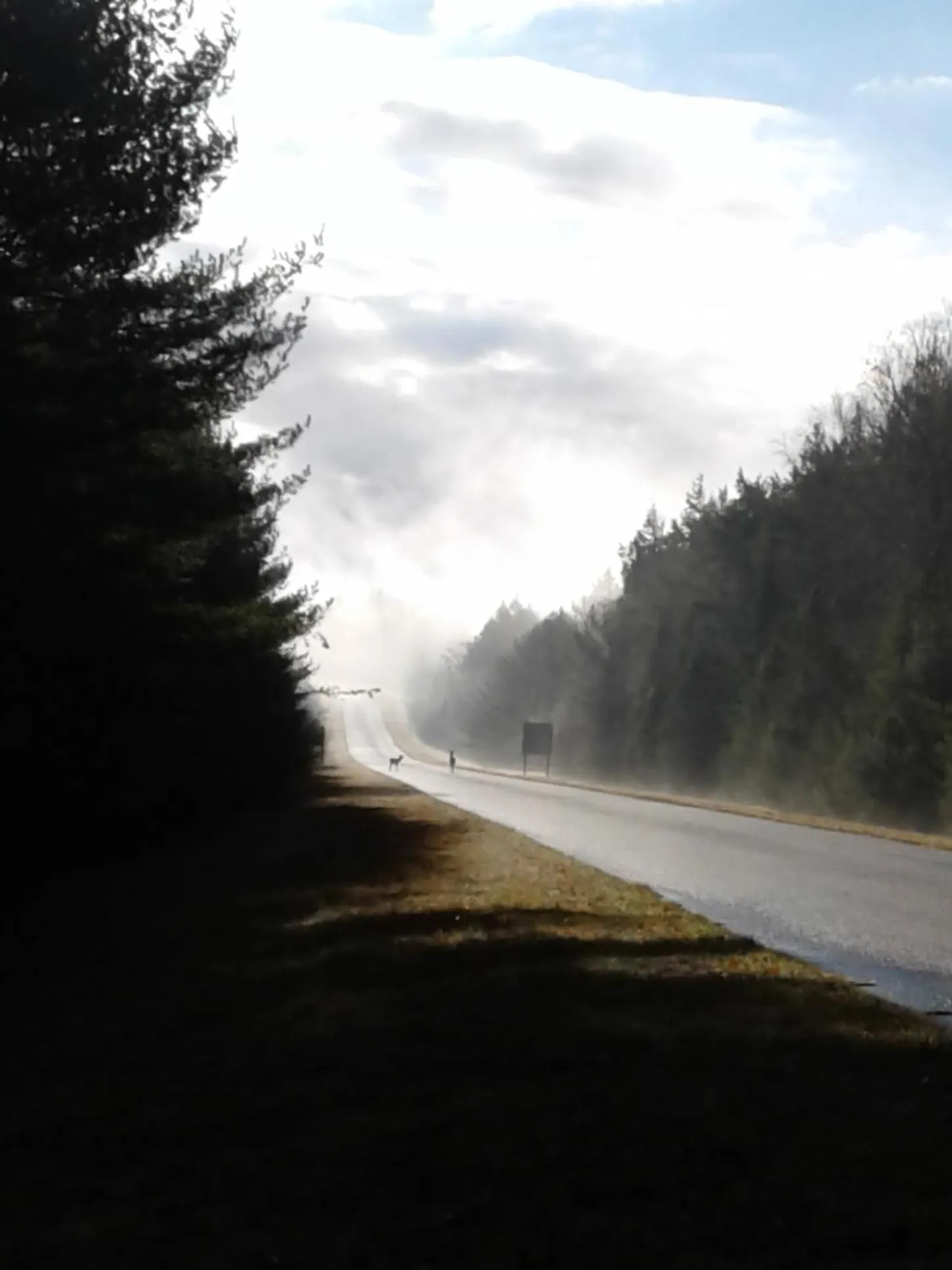 Autumn in B&B Art of Germany