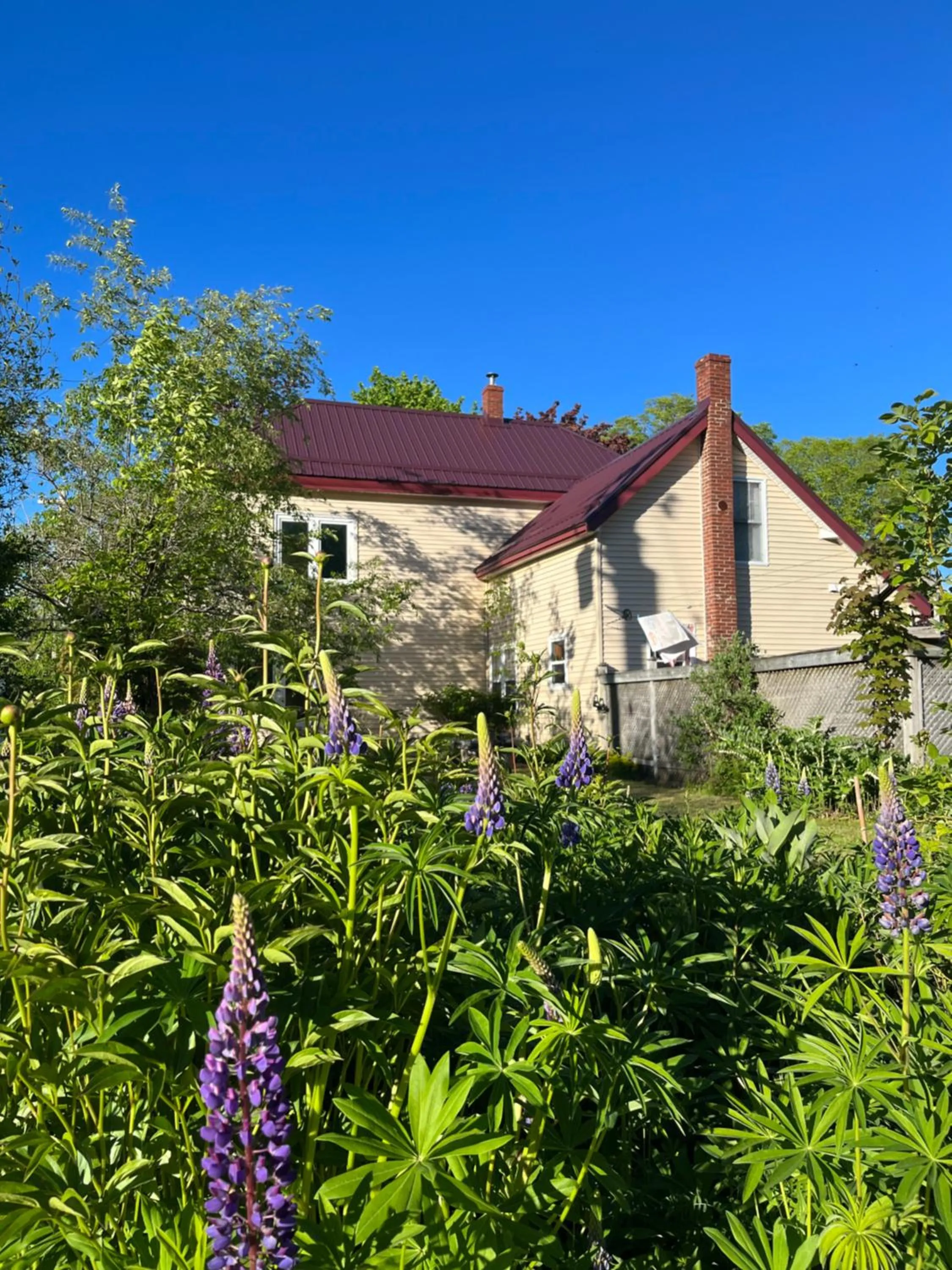 Garden in B&B Art of Germany