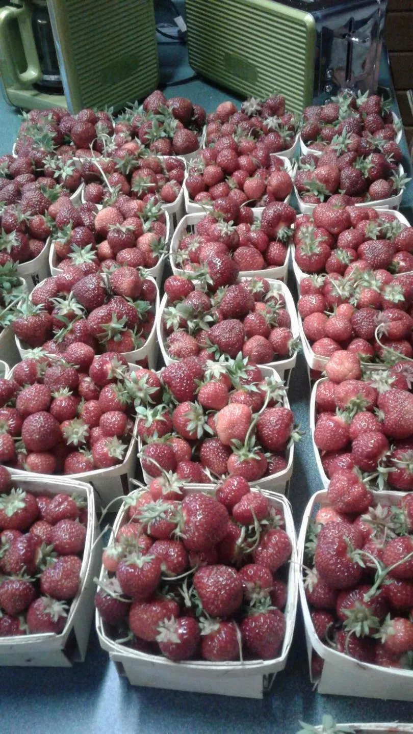 Summer in B&B Art of Germany