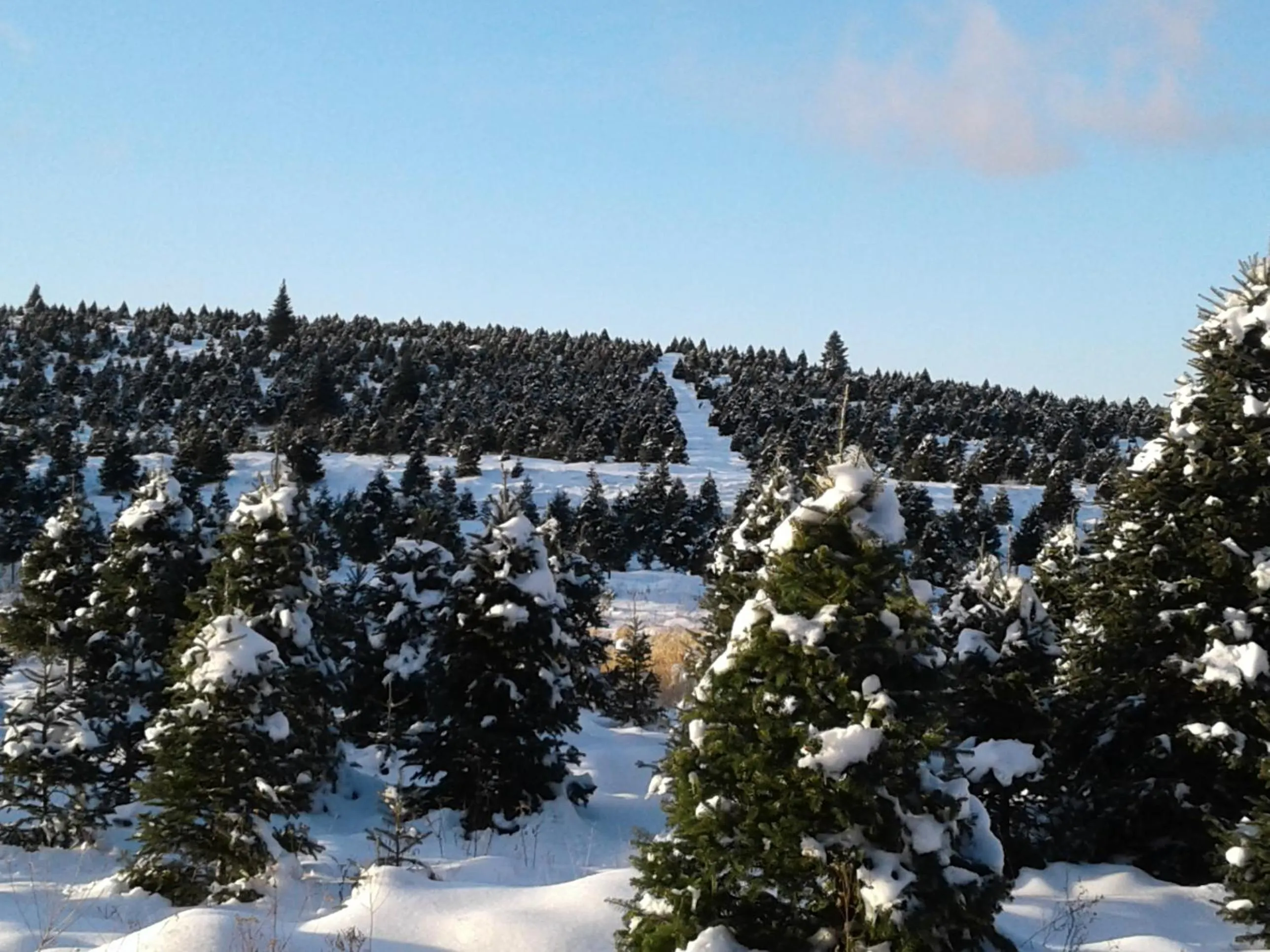 Winter in B&B Art of Germany