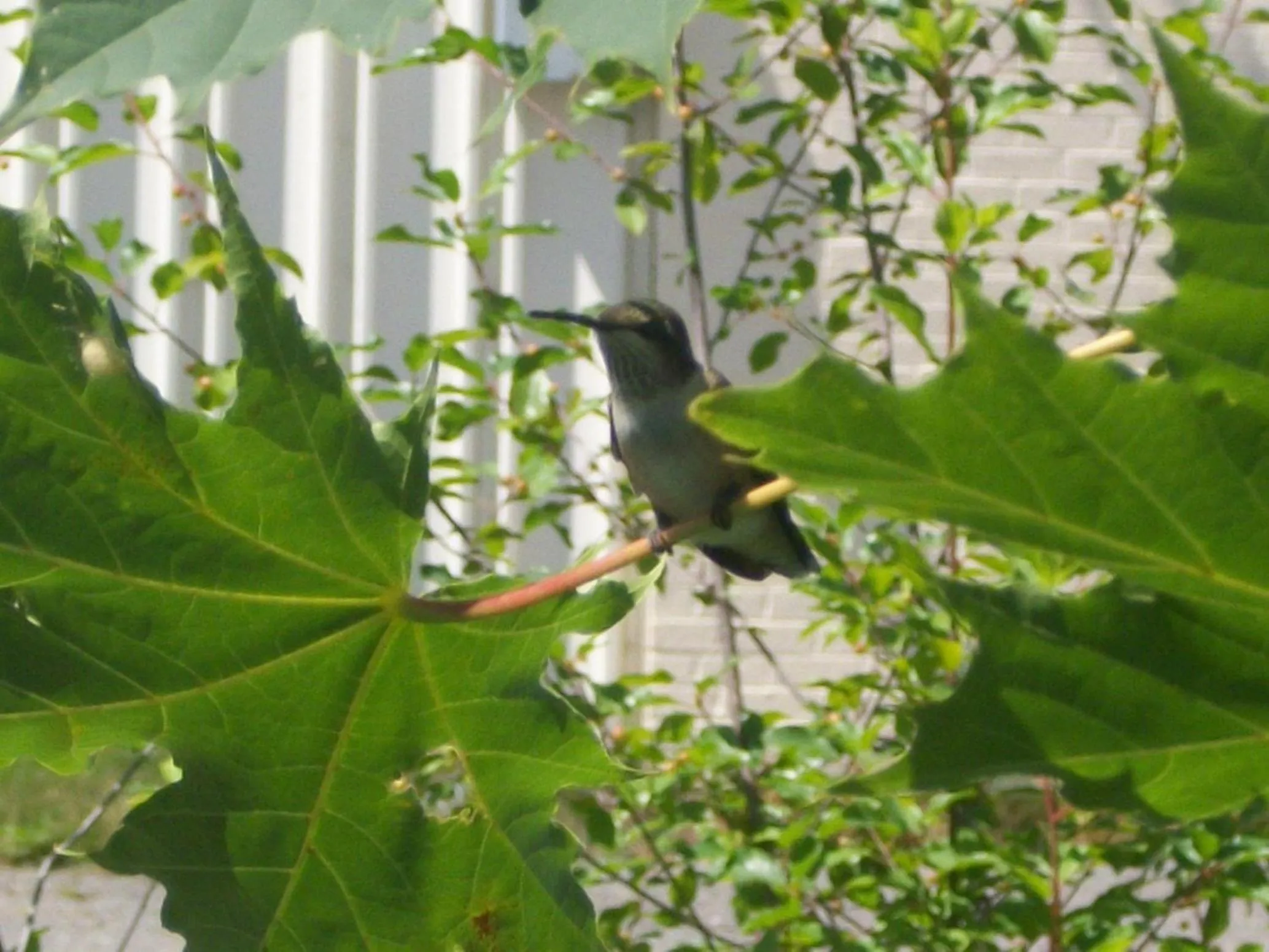 Natural landscape in B&B Art of Germany