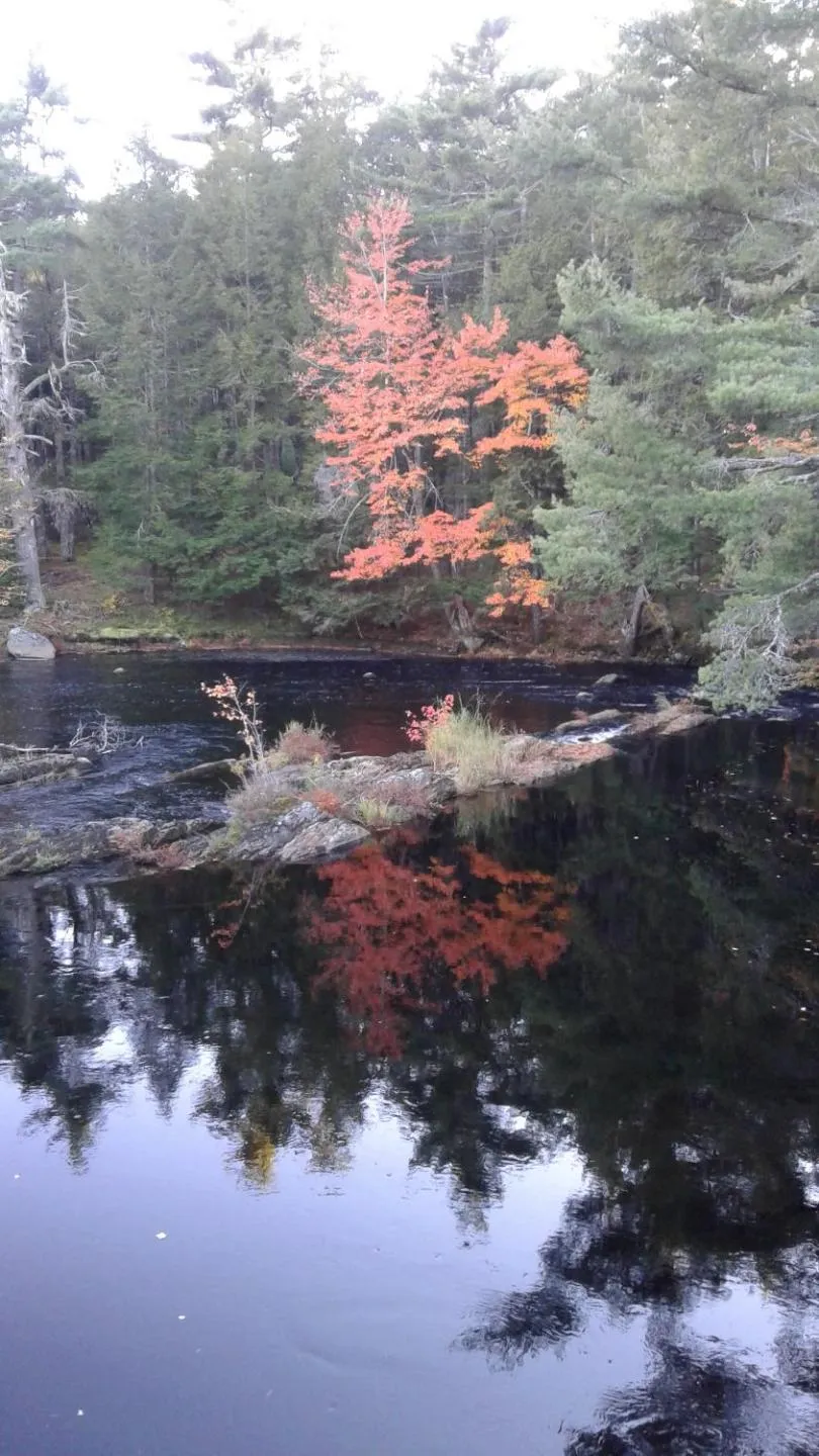 Hiking in B&B Art of Germany