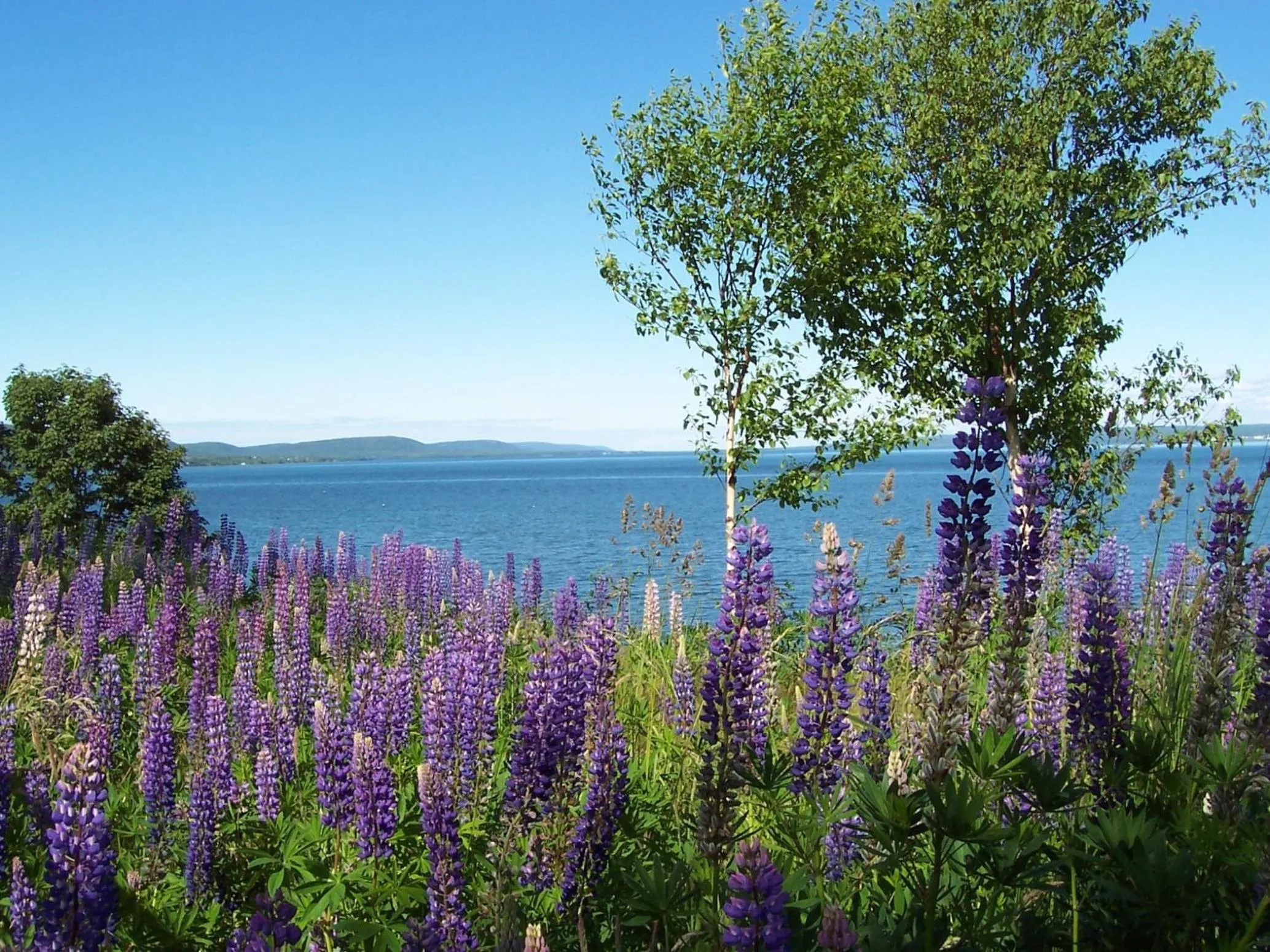 Beach in B&B Art of Germany