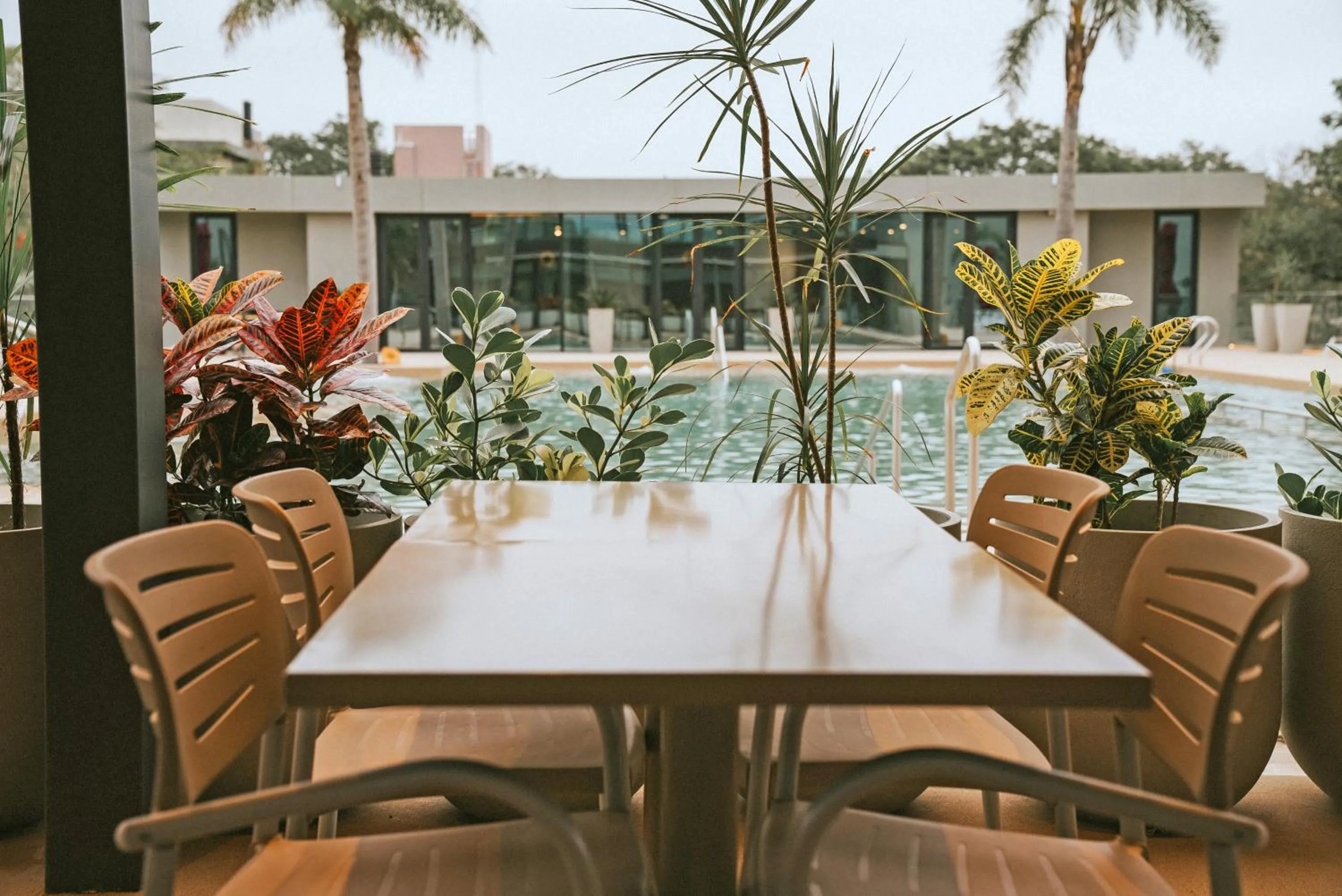 Restaurant/places to eat in Howard Johnson Plaza La Ribera