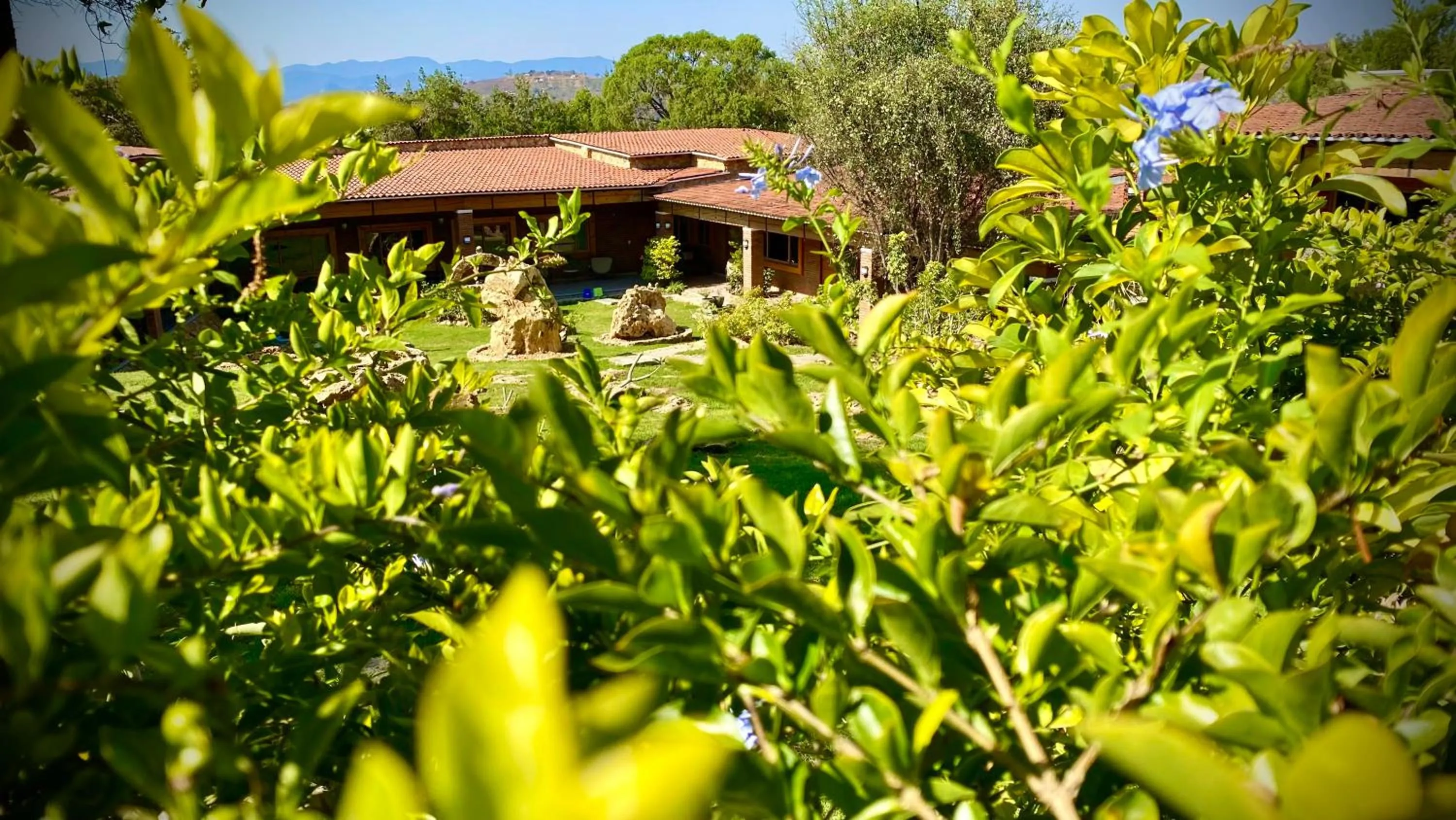 Facade/entrance in Hotel Boutique Matea