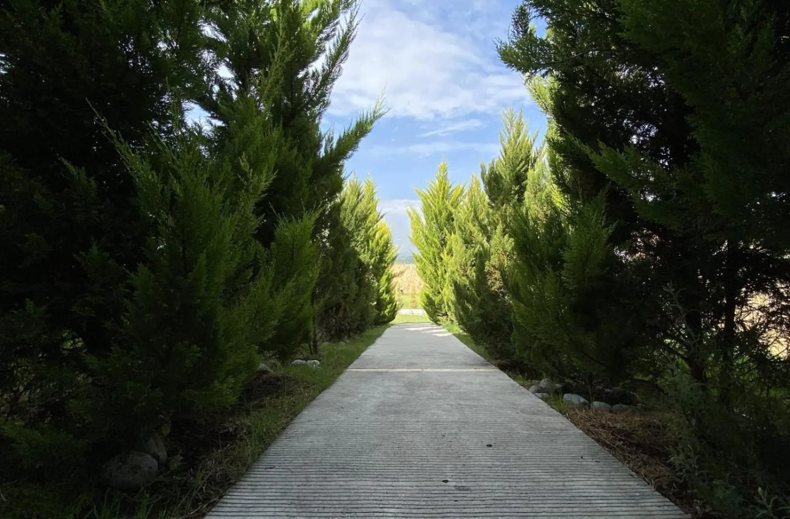 Area and facilities in Hotel Boutique Matea