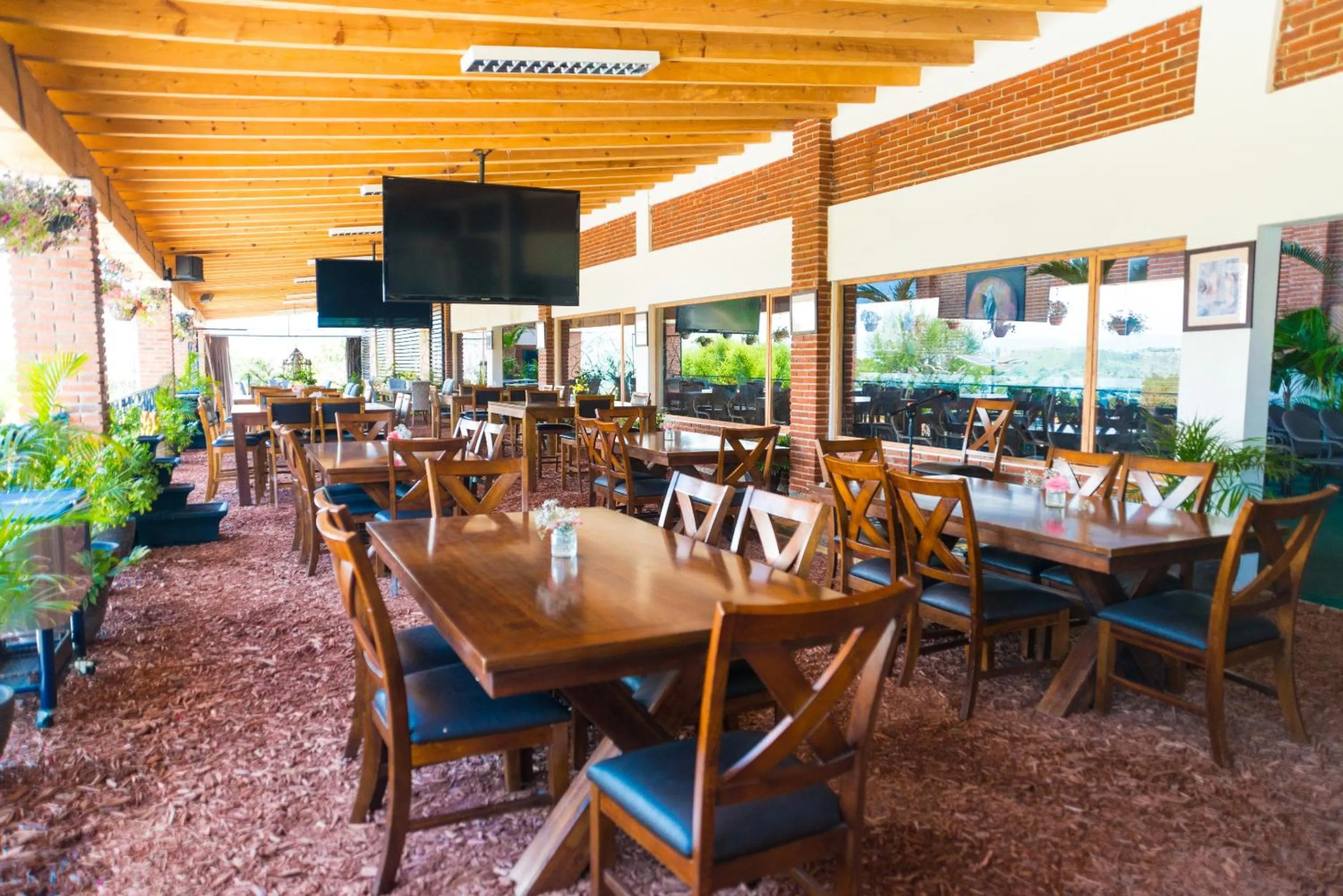 Restaurant/places to eat in Hotel Boutique Matea