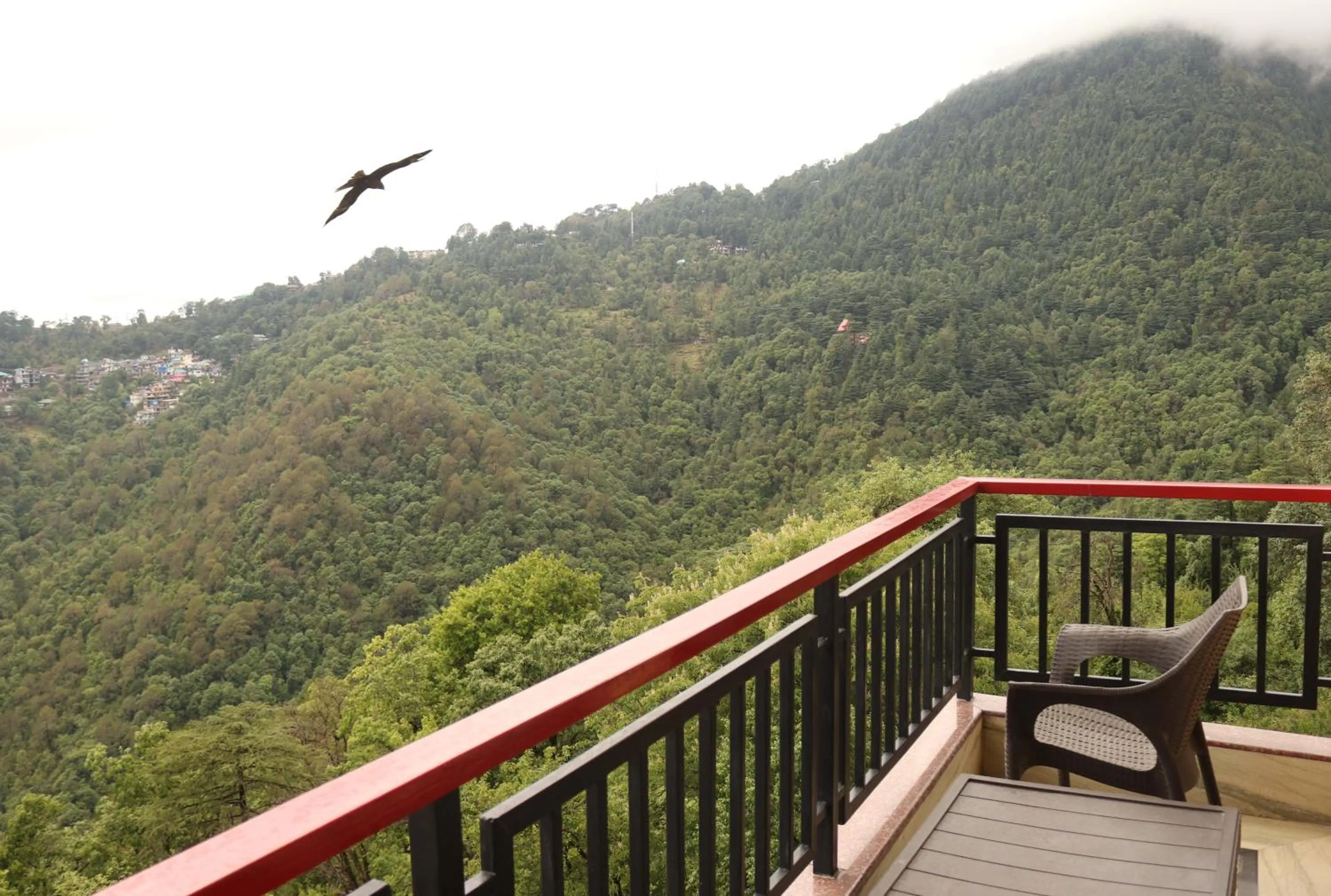 Spring in New Serkong House