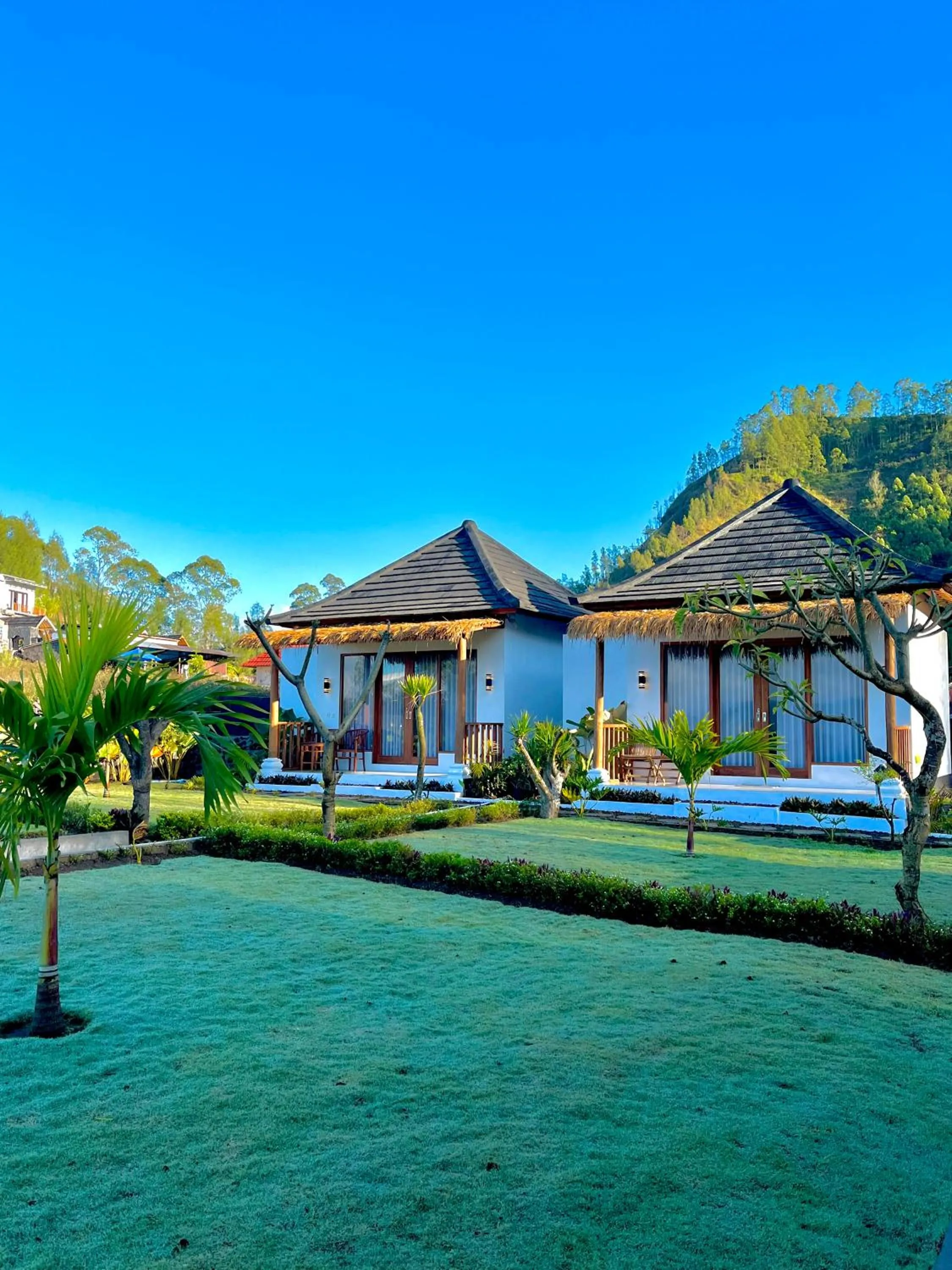 Property building in Hillside bali